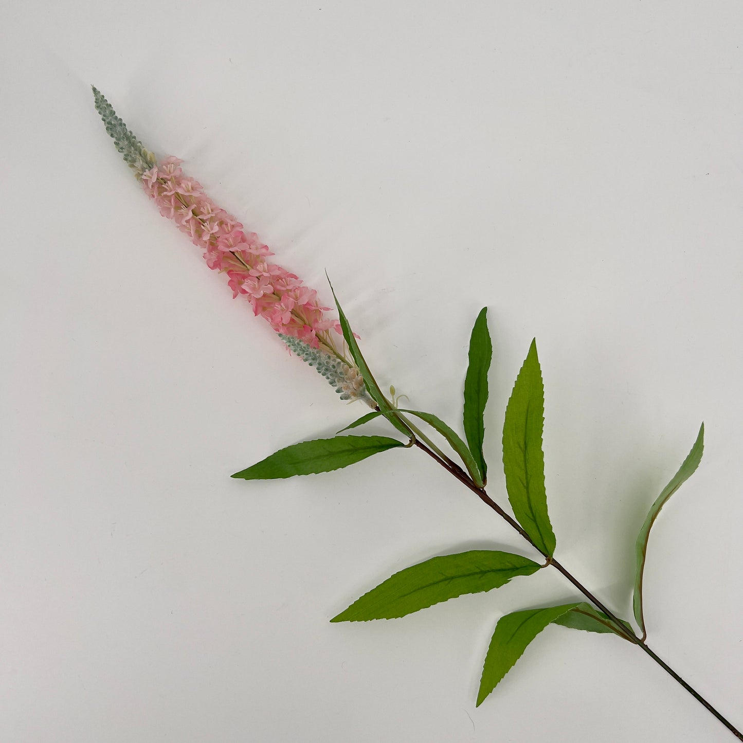 Tak Veronica, 76cm