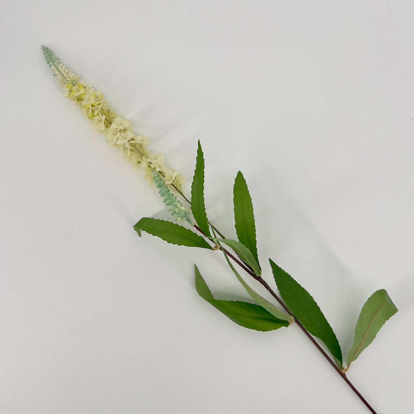 Tak Veronica, 76cm
