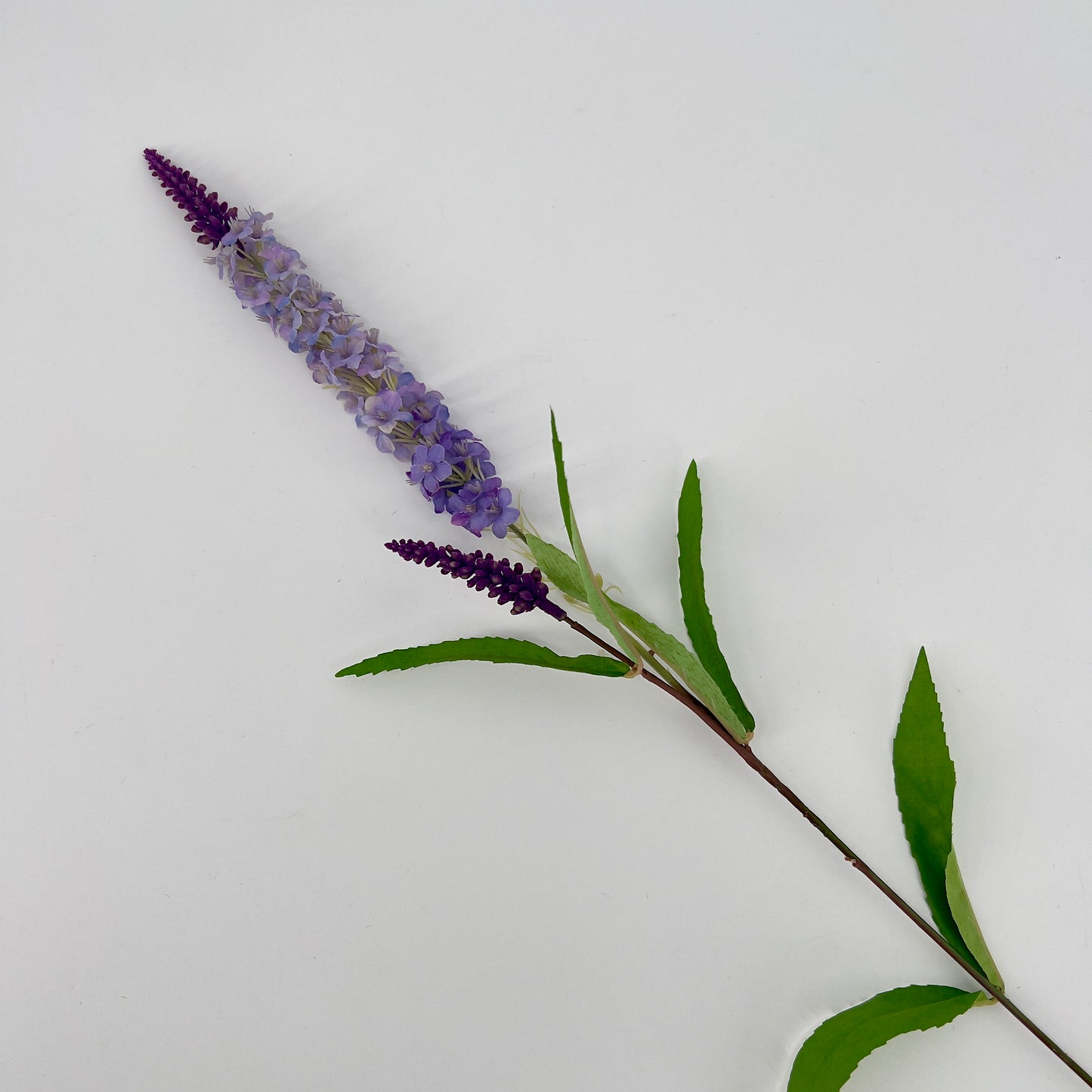 Tak Veronica, 76cm