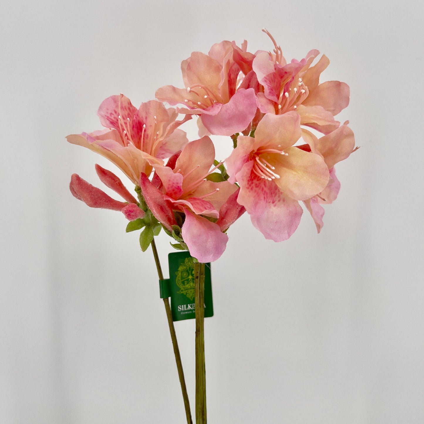 Silk-ka Rhododendron tak, 82cm