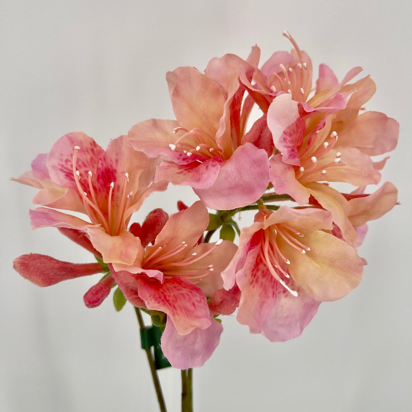 Silk-ka Rhododendron tak, 82cm