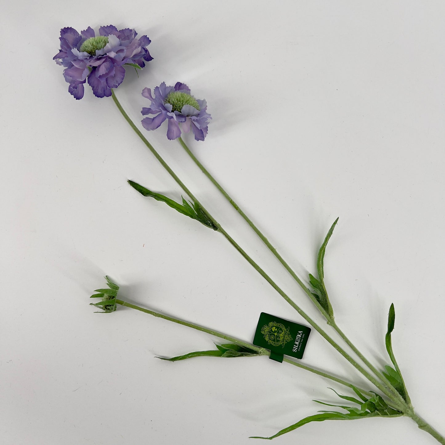 Silk-ka kunstbloem Scabiosa, 64cm