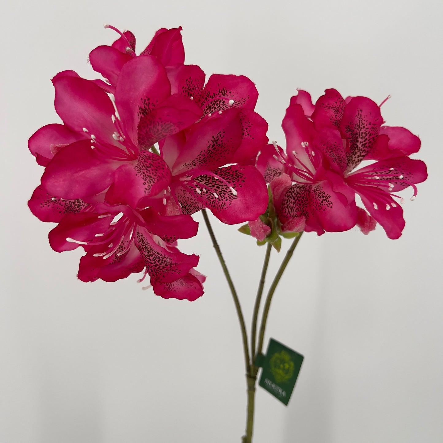 Silk-ka Rhododendron tak, 82cm