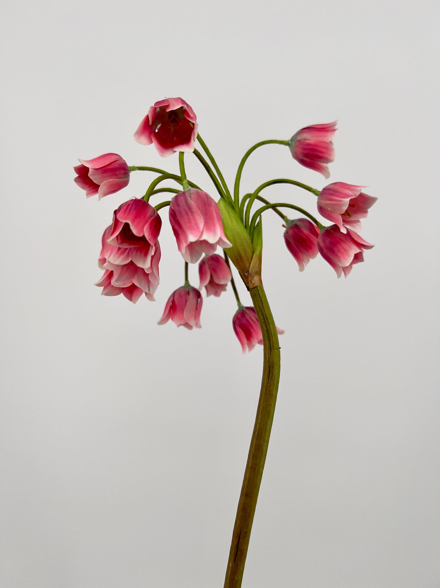 Silk-ka Allium in roze , 68cm