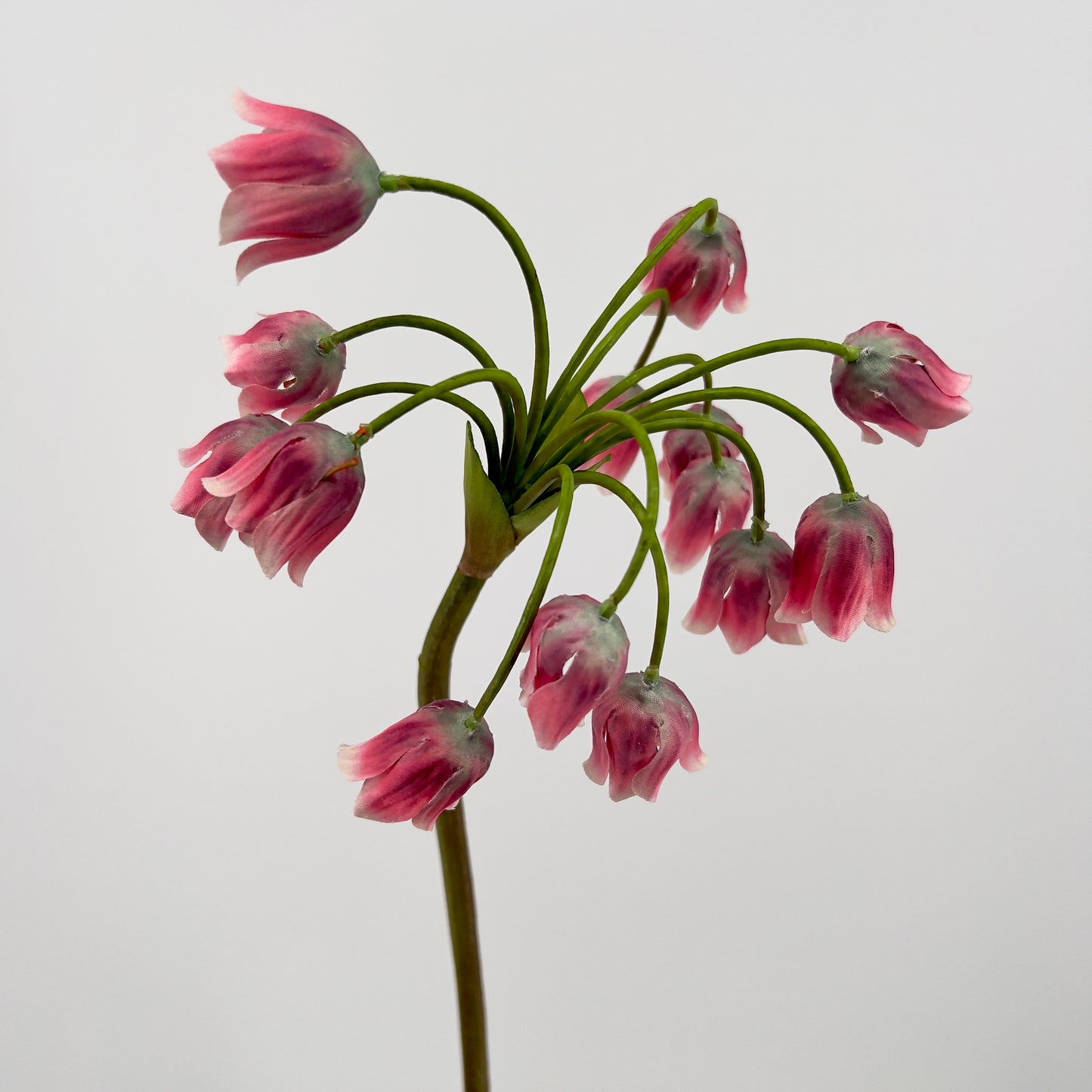Silk-ka Allium in roze , 68cm
