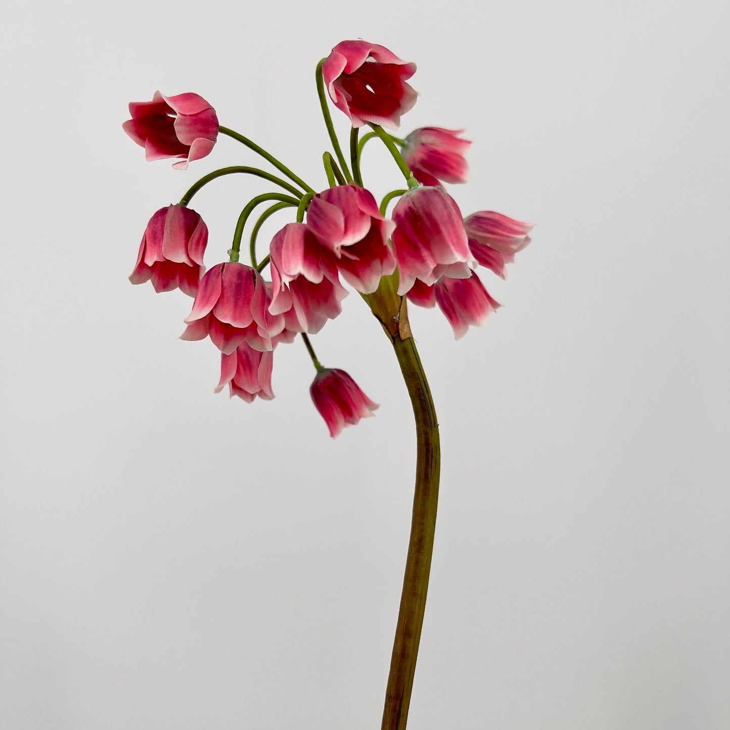 Silk-ka Allium in roze , 68cm