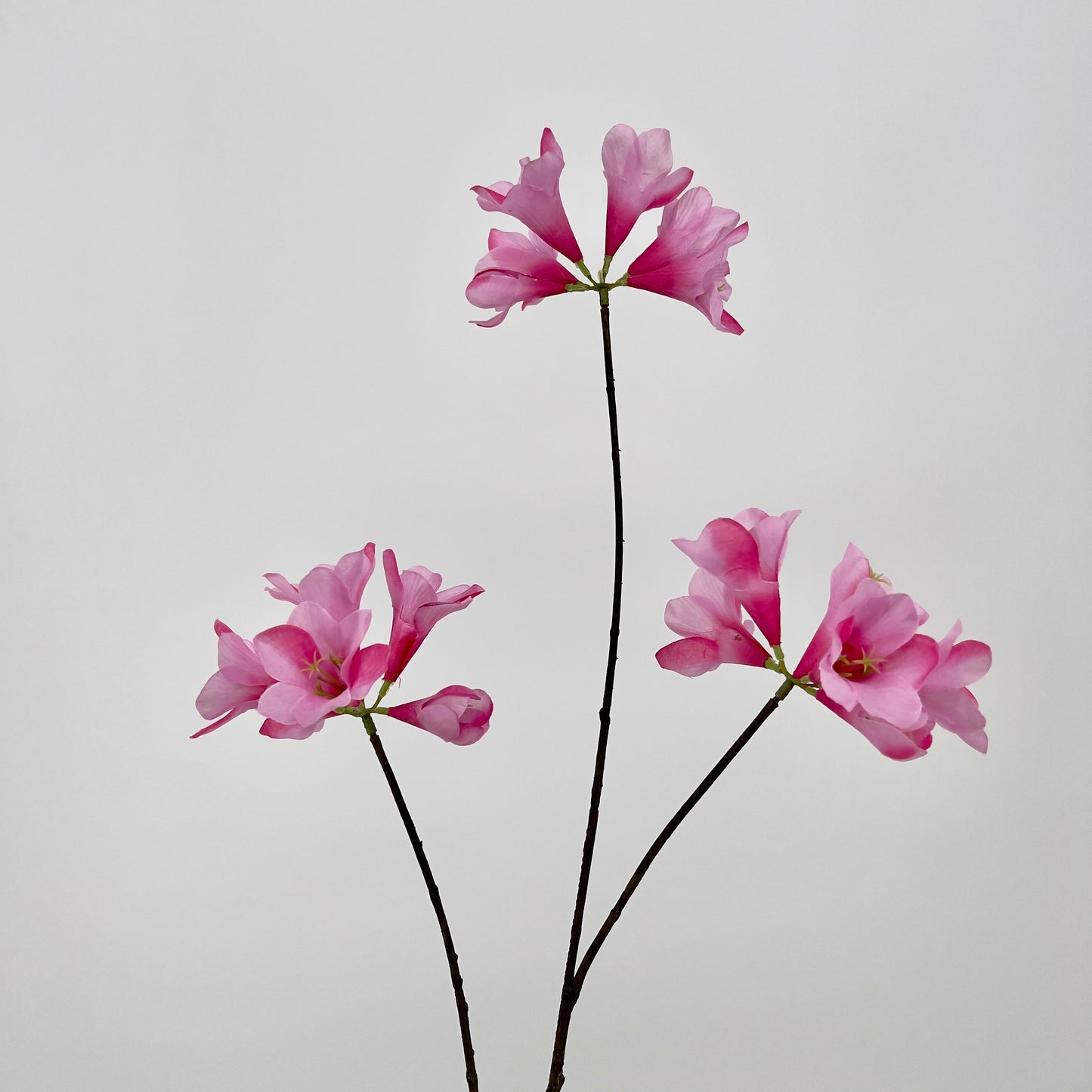 Kruidnagel/Mandevilla spray kunsttak in 7 kleuren, 83cm