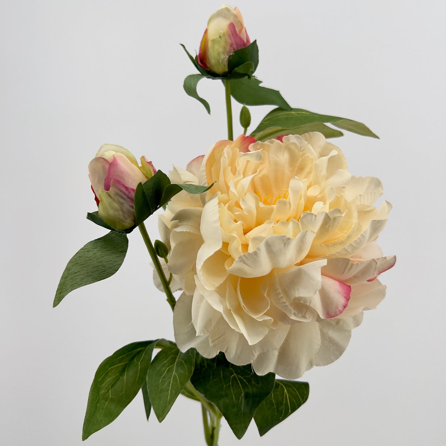 Pioen spray Sango crème of oud roze, 66cm