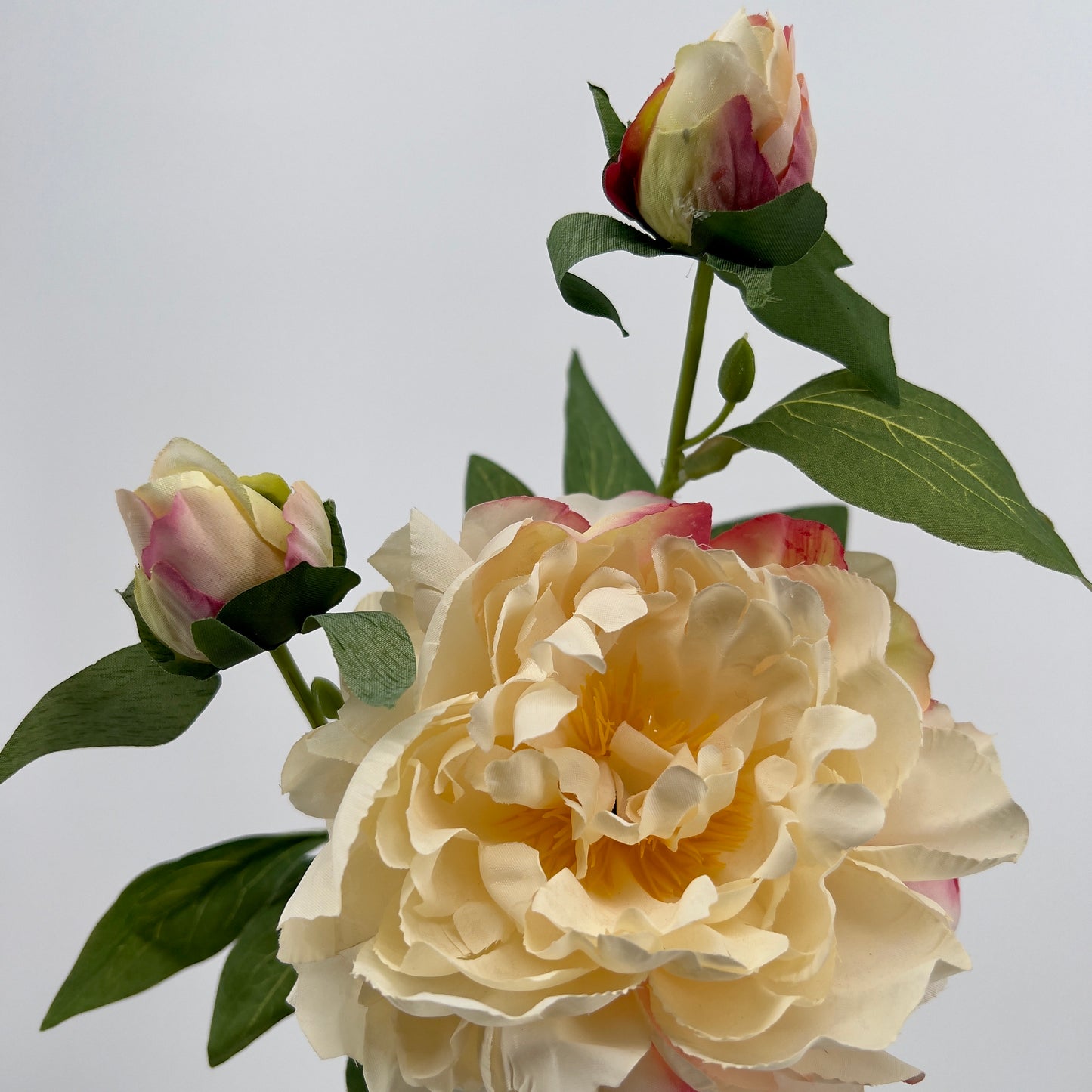 Pioen spray Sango crème of oud roze, 66cm
