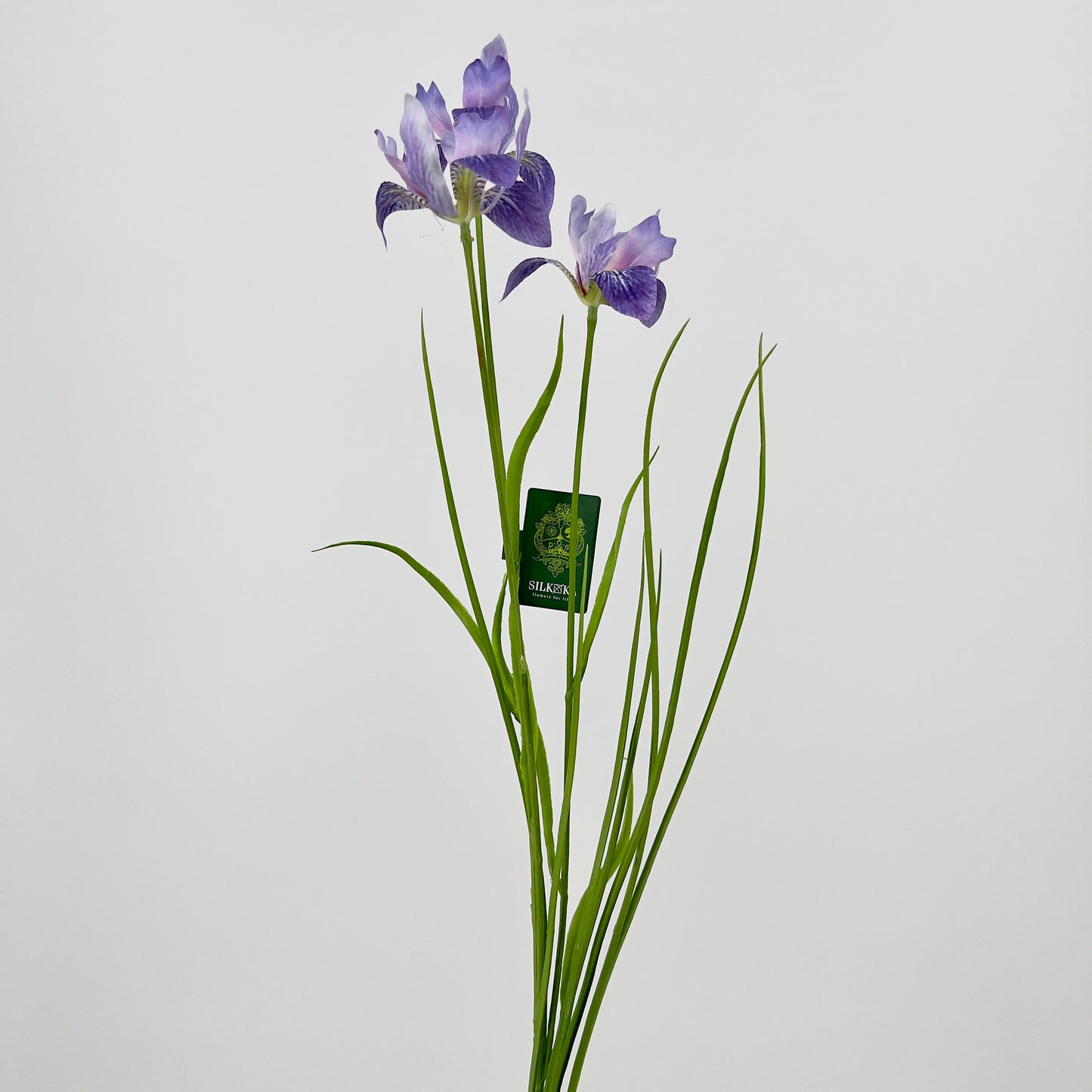 Silk-ka Iris in paars en paars/lavendel, 71cm