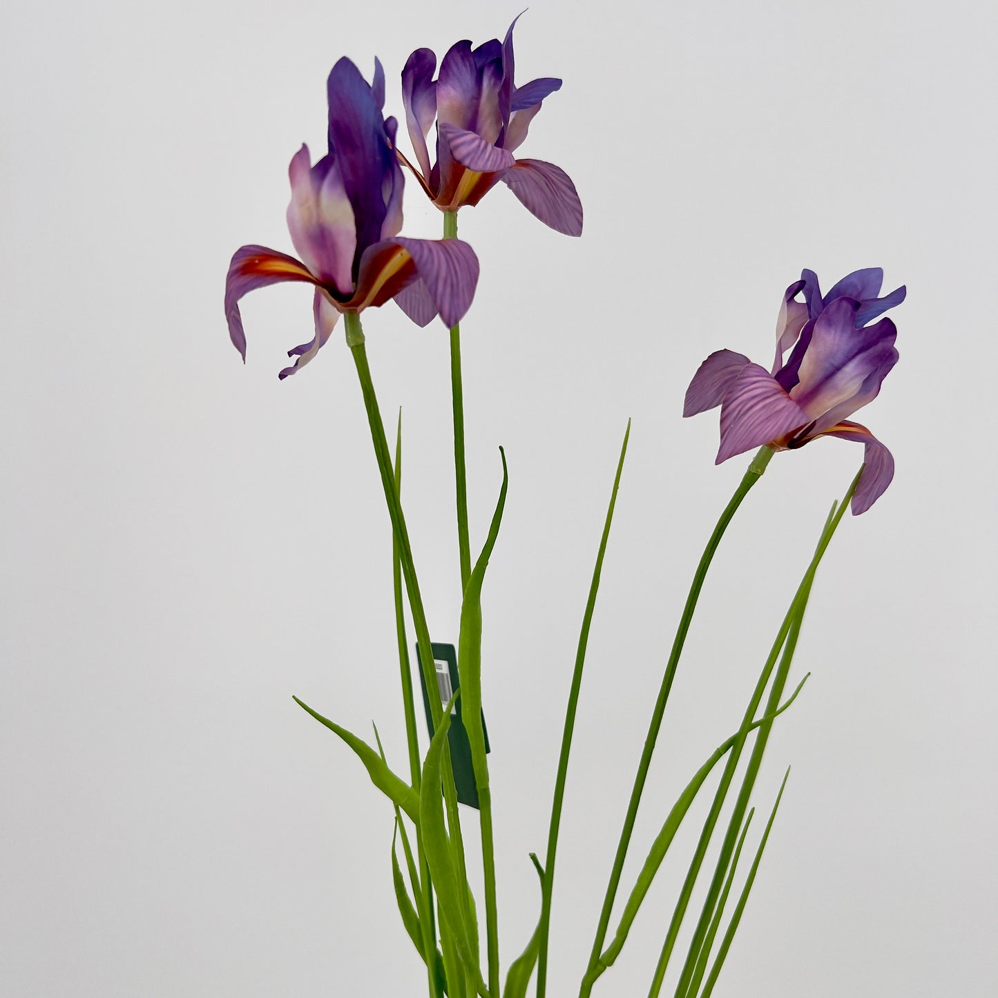 Silk-ka Iris in paars en paars/lavendel, 71cm