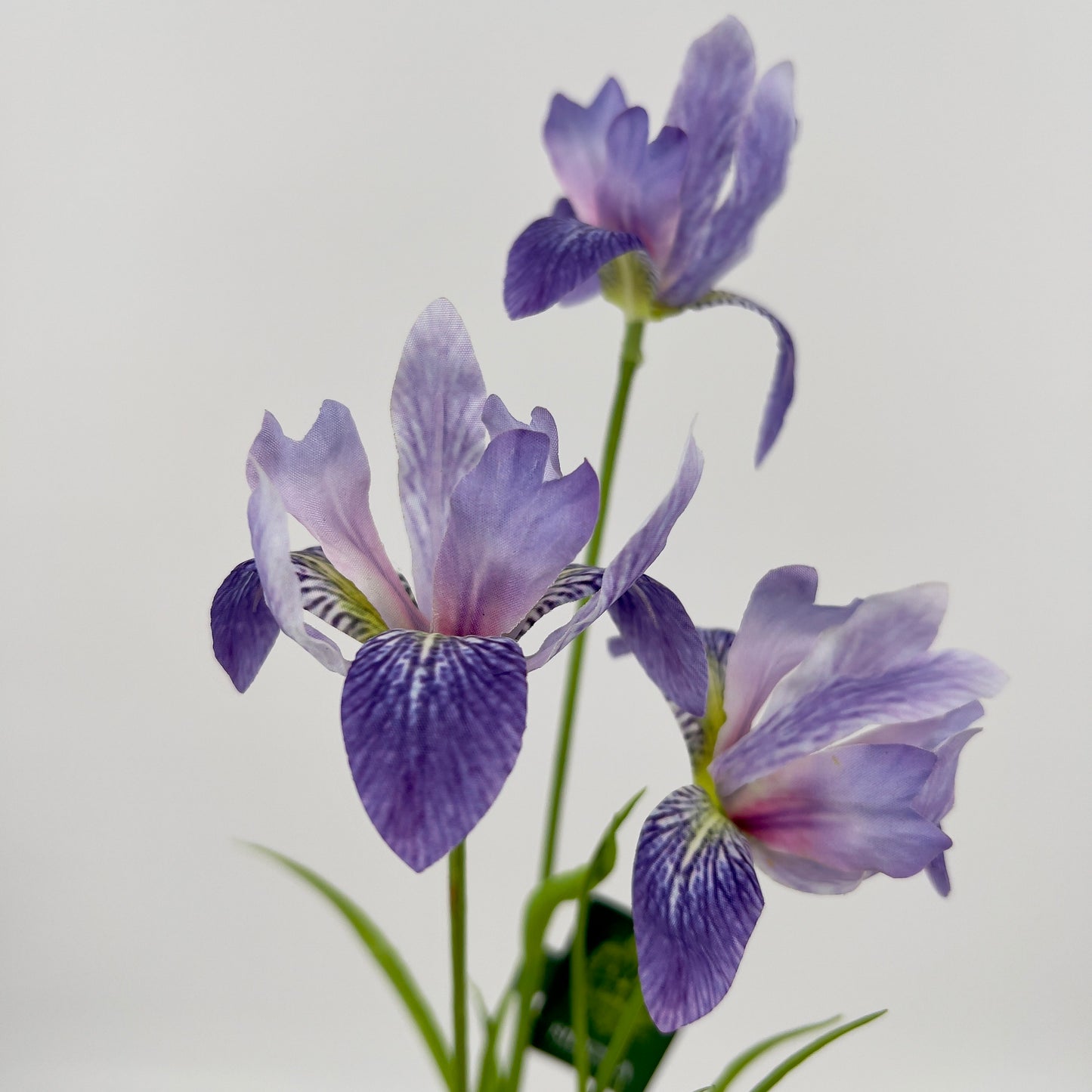 Silk-ka Iris in paars en paars/lavendel, 71cm