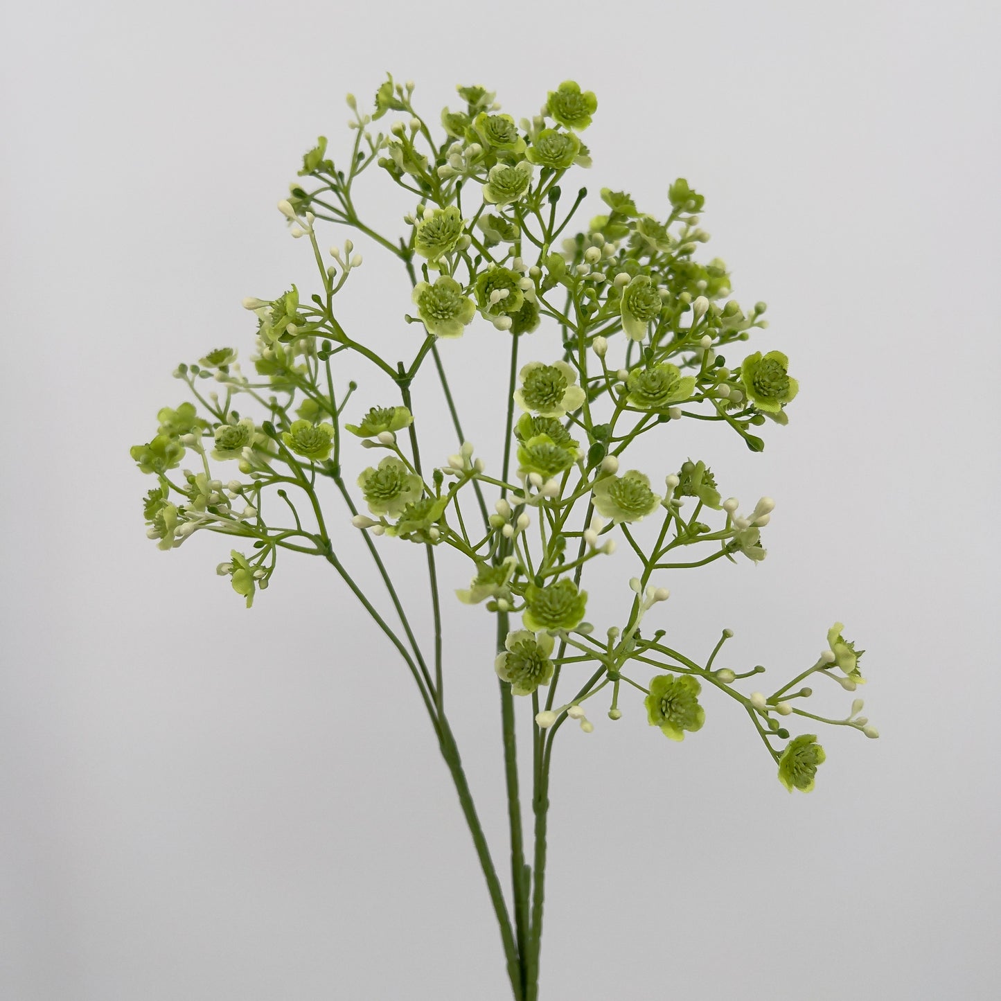 Gypsolhila kunsttak groen/creme of cerise, 70cm