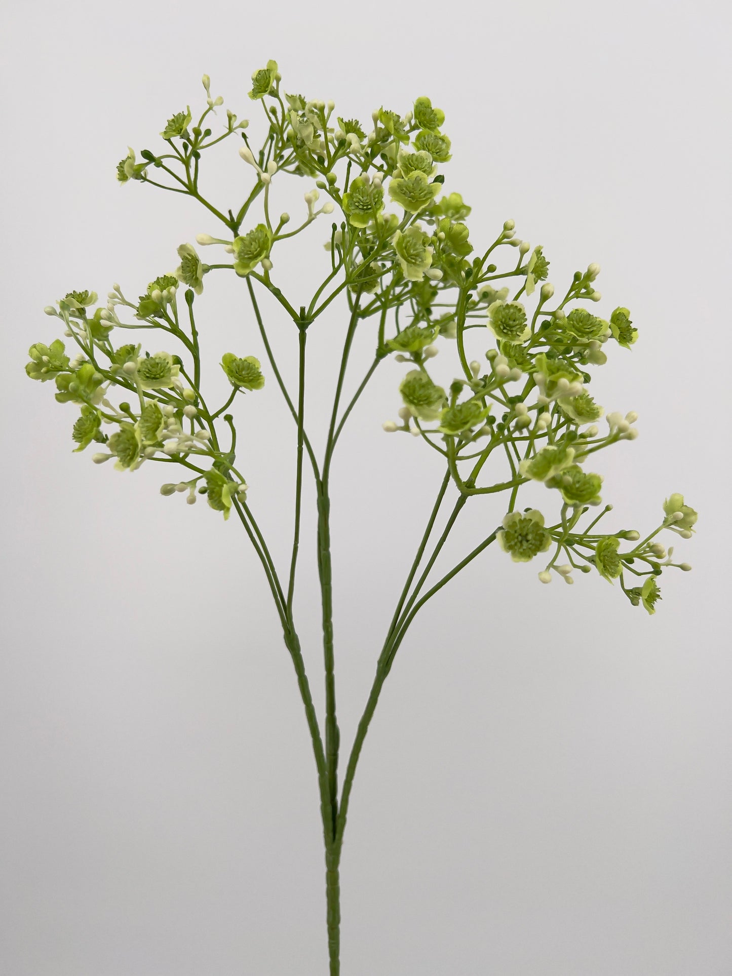 Gypsolhila kunsttak groen/creme of cerise, 70cm