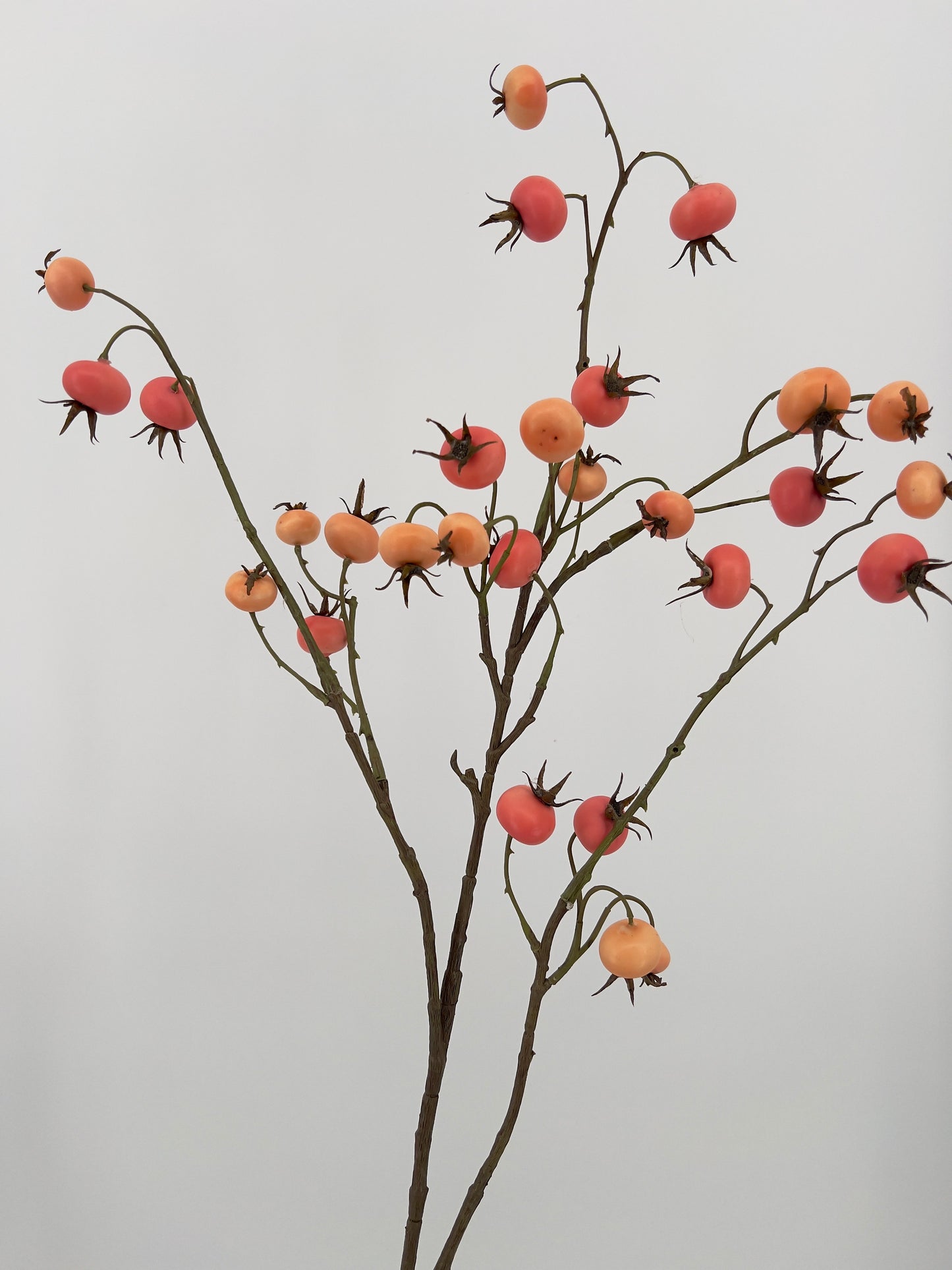 Rozenbottel/Rosehip tak in perzik geel/roze, 102cm