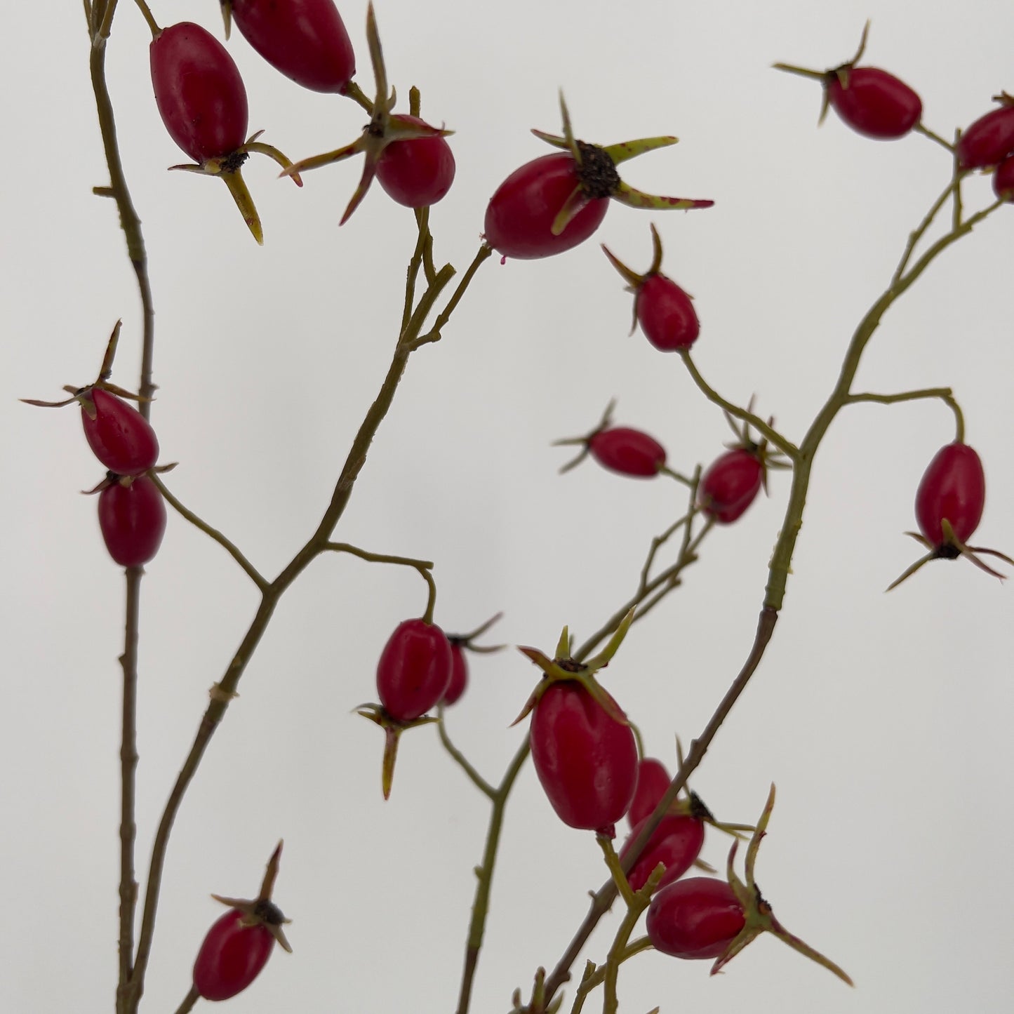 Silk-ka Rozenbottel tak in diep rood, 106cm