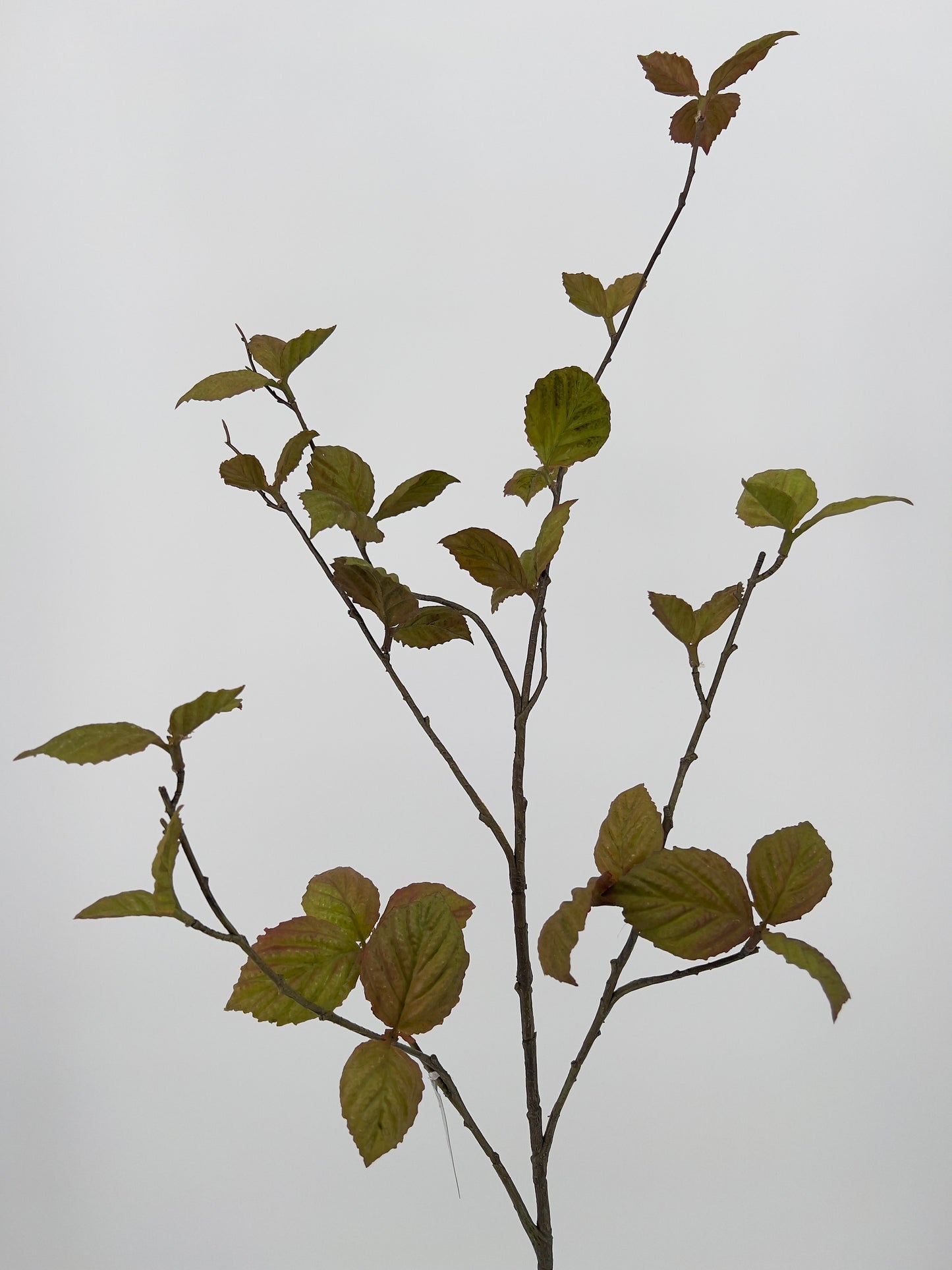 Silk-ka kunsttak beuken in rood/groen of groen, 116cm
