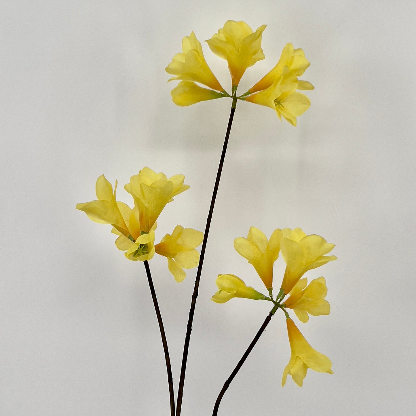 Kruidnagel/Mandevilla spray kunsttak in 7 kleuren, 83cm