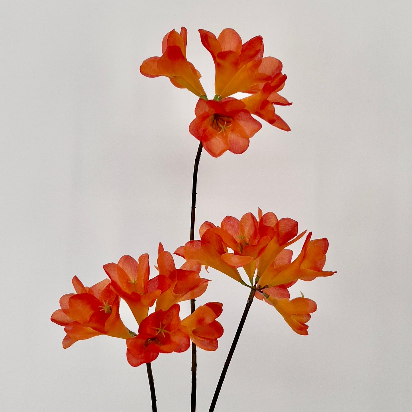 Kruidnagel/Mandevilla spray kunsttak in 7 kleuren, 83cm