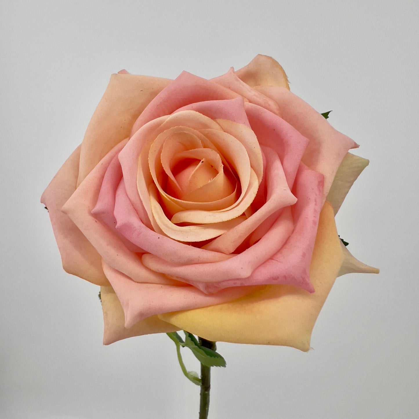 Kunstbloem Roos/Rosa/Rose in licht en donker peach, 71cm