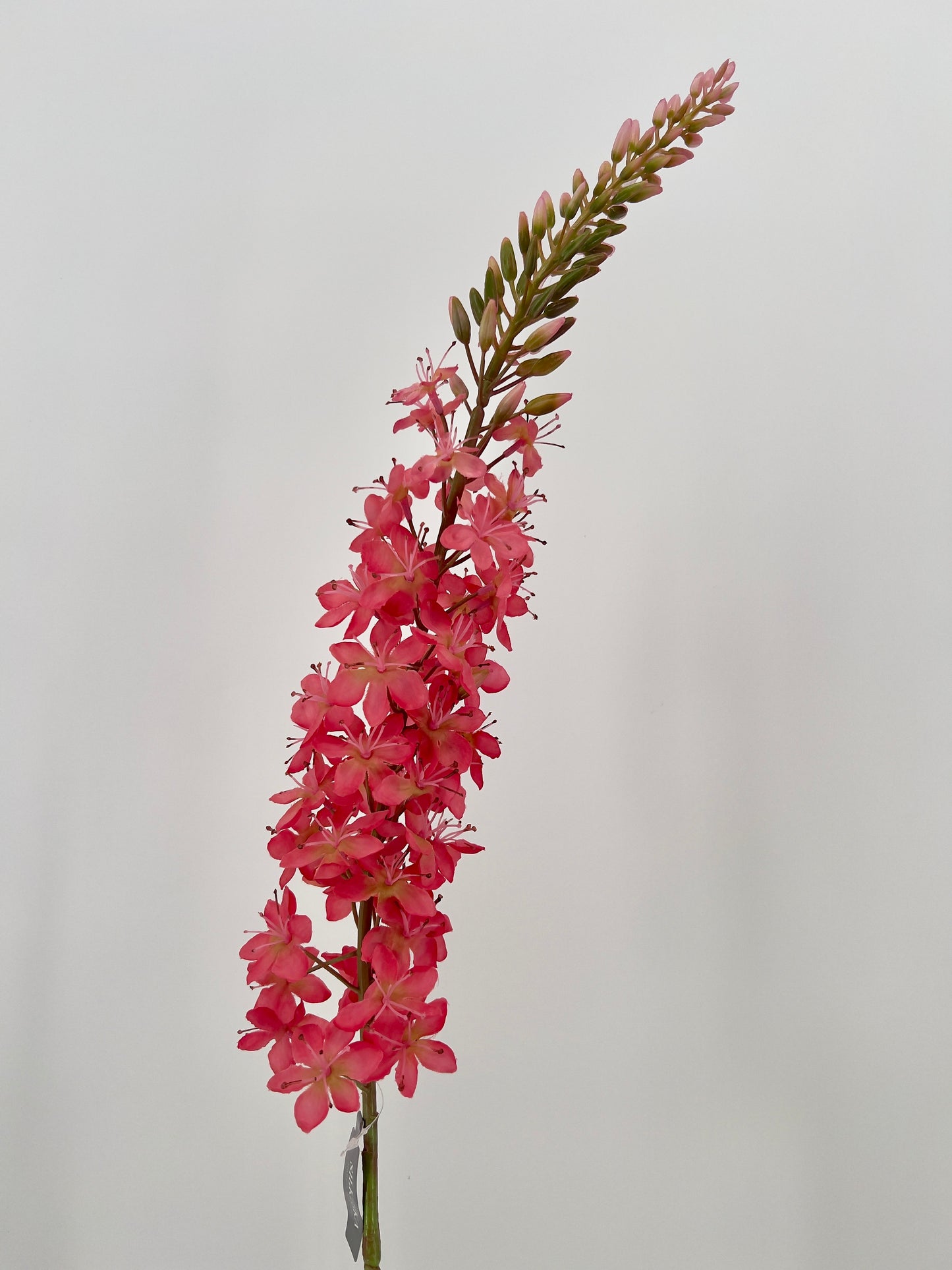 Silk-ka Eremurus kunsttak beauty en roze, 107cm
