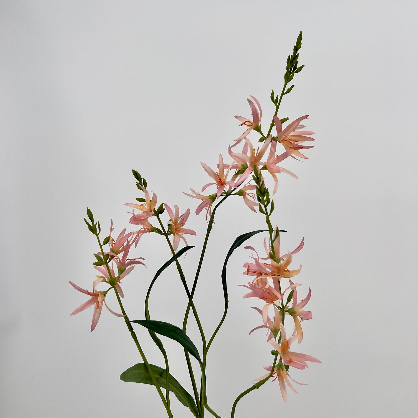 Silk-ka Eremurus spray in beauty, perzik of geel, 101cm