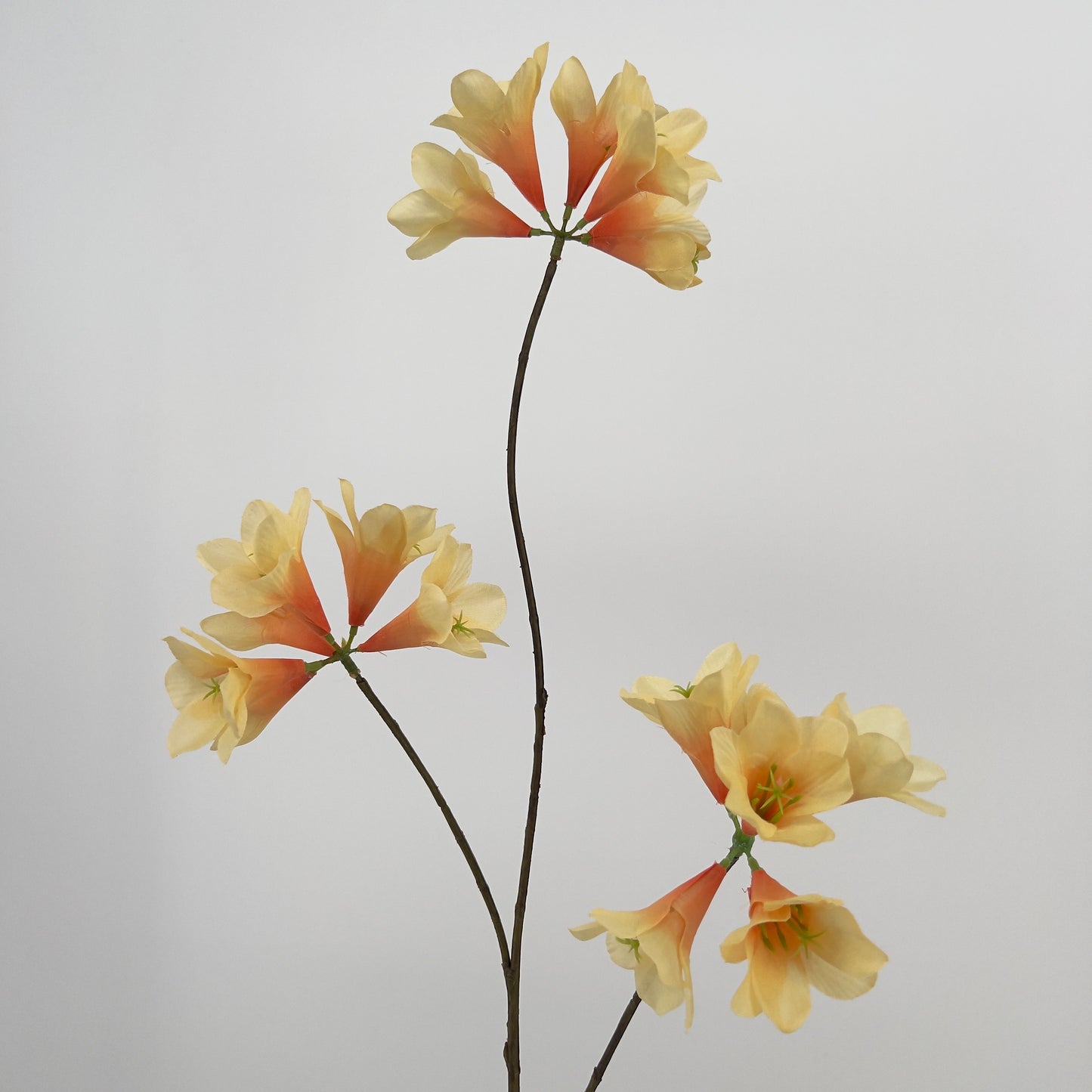 Kruidnagel/Mandevilla spray kunsttak in 7 kleuren, 83cm