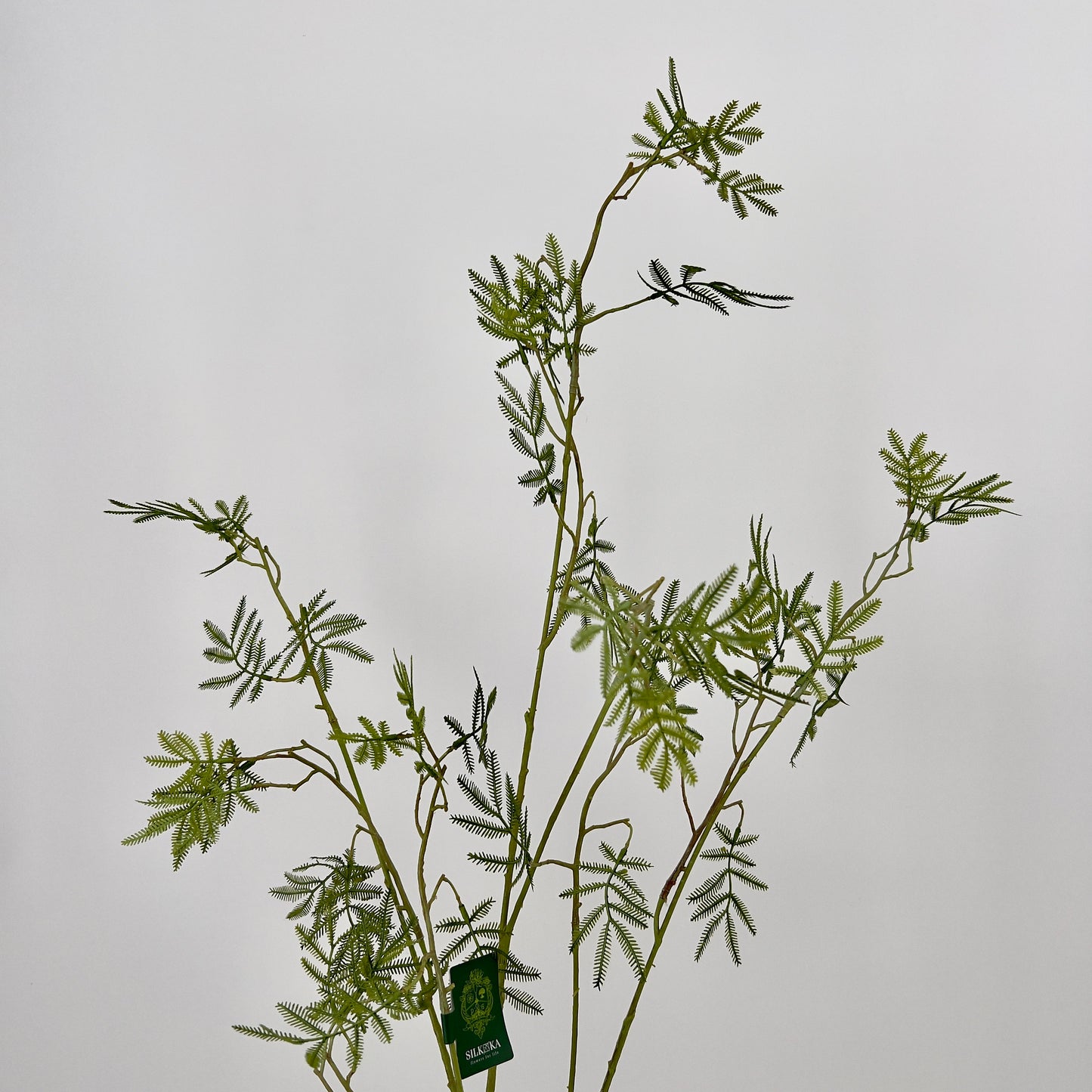 Silk-ka Mimosa groentak, 127cm