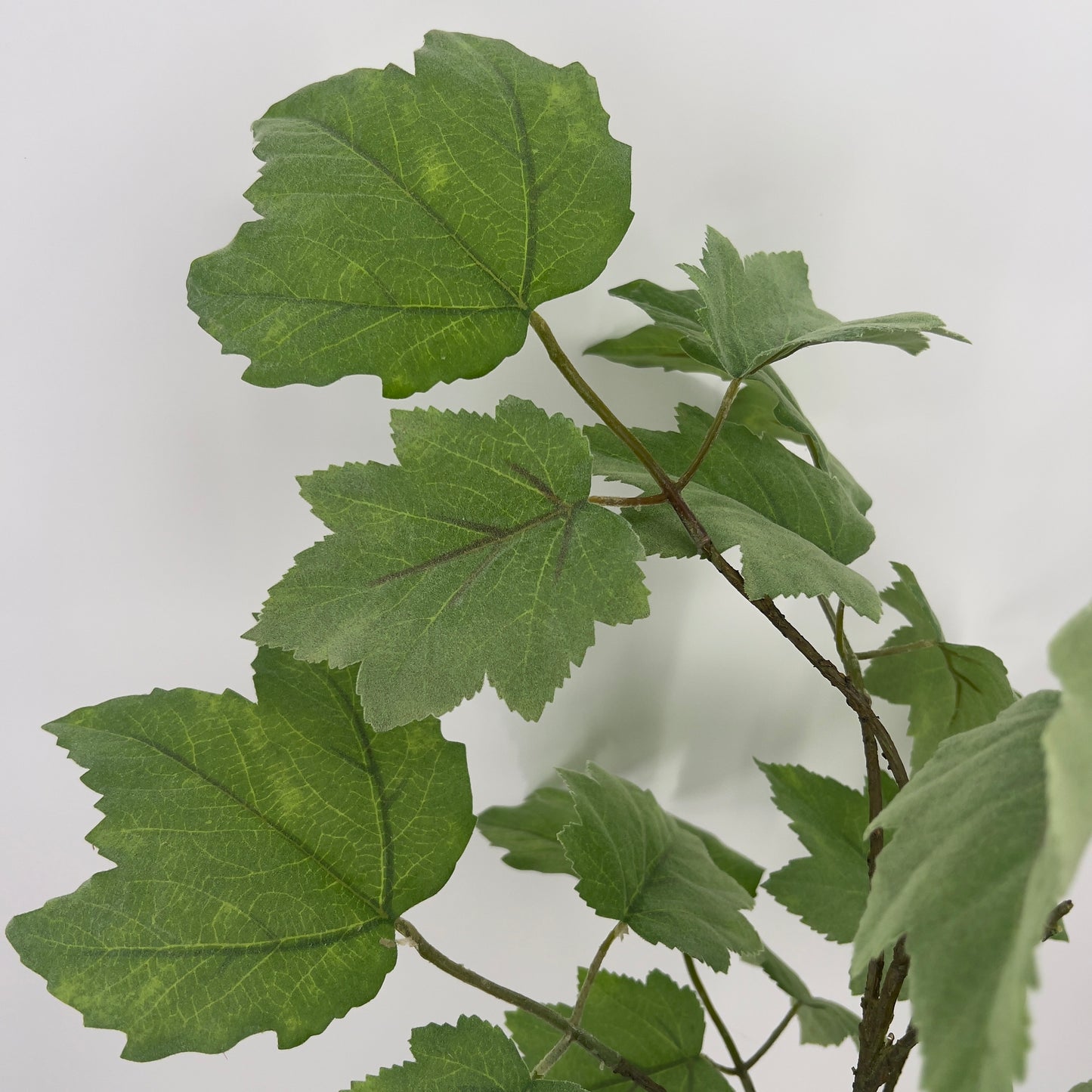 Silk-Ka bladgroen tak waanzinnig echt!, 120cm