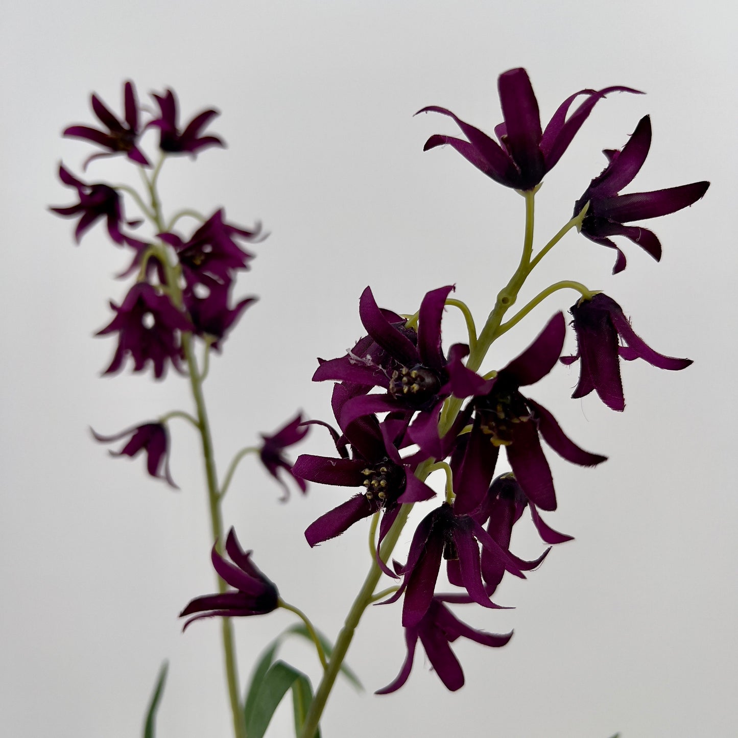 Flower campanula dark purple, 59cm