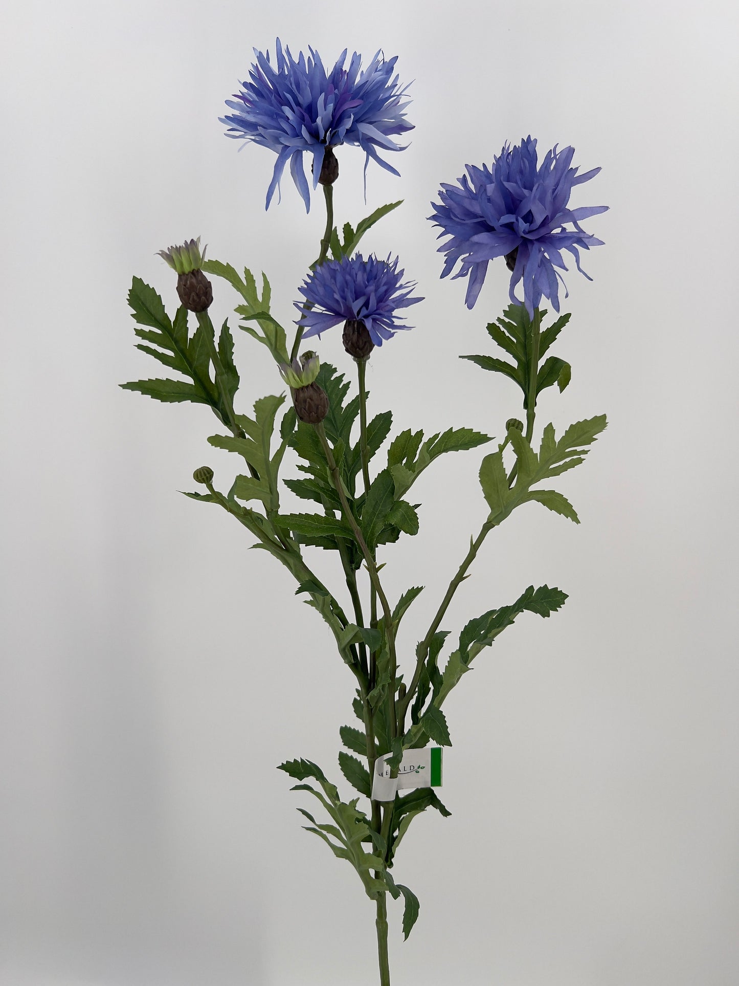 Centaurea spray in fuchsia en blauw/donker lila, 100cm
