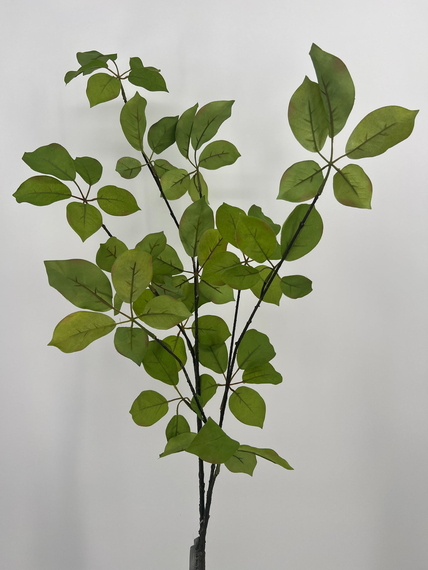 Slk-ka bladtak groen, 120cm