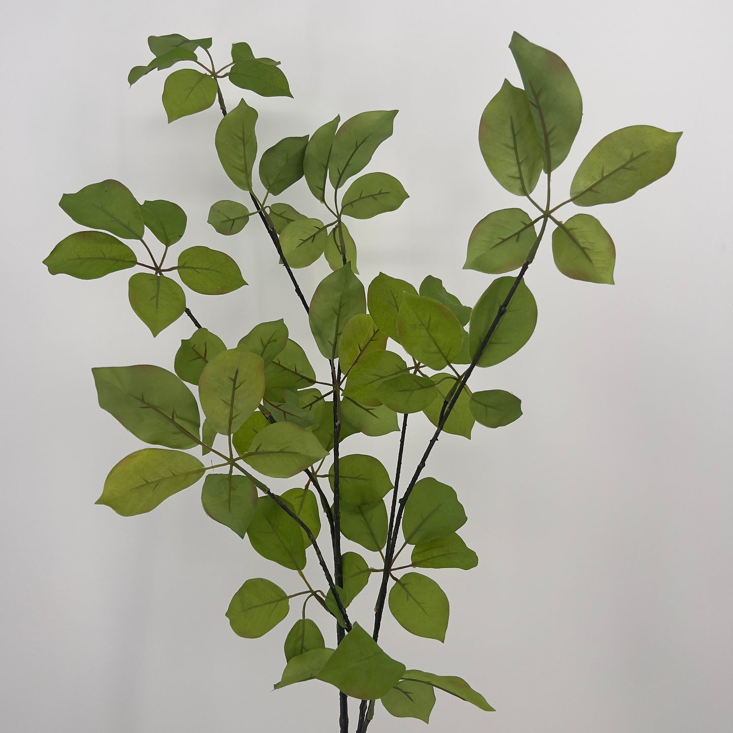 Slk-ka bladtak groen, 120cm