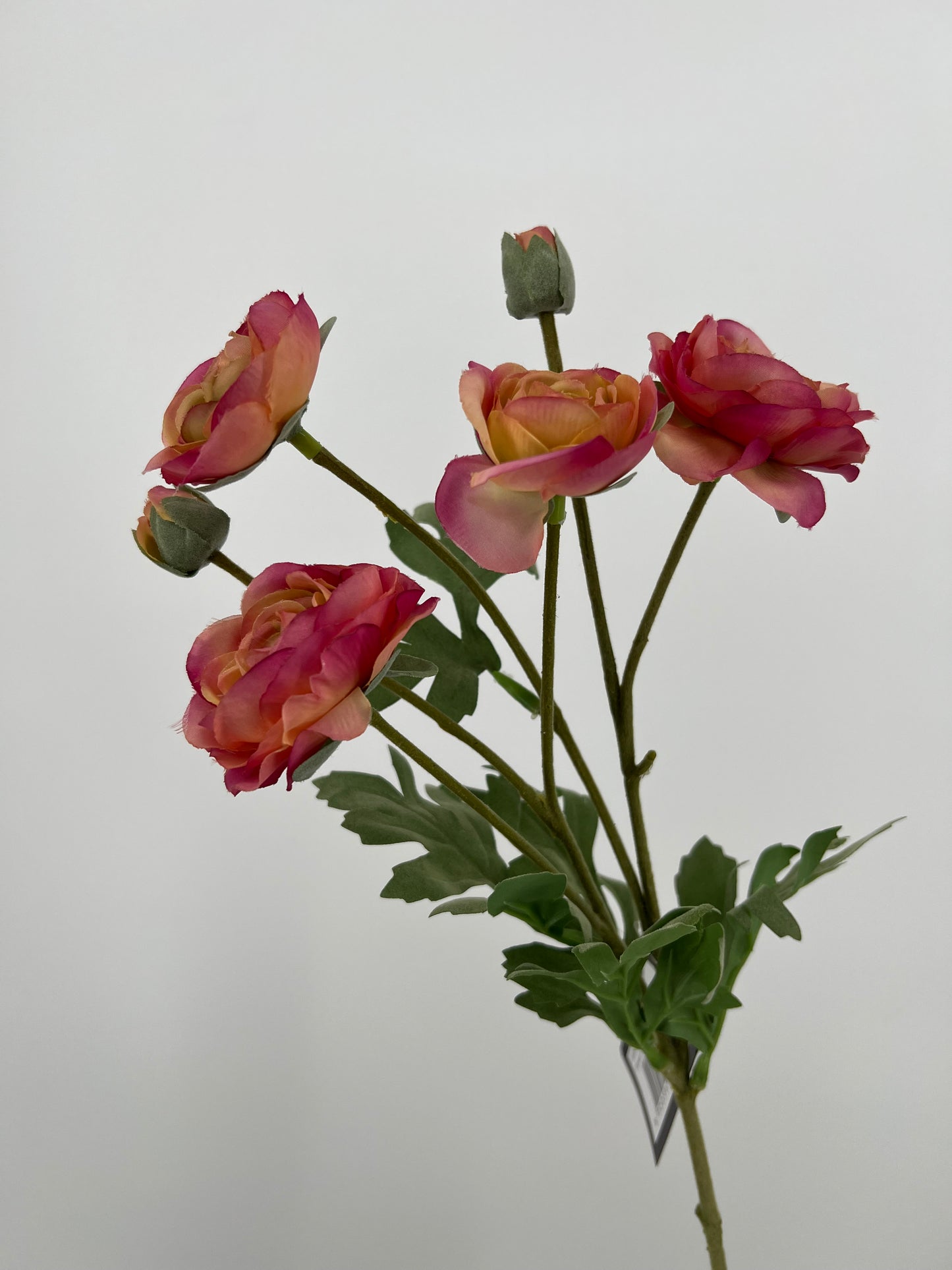 Flower Ranunculus pink, 66cm