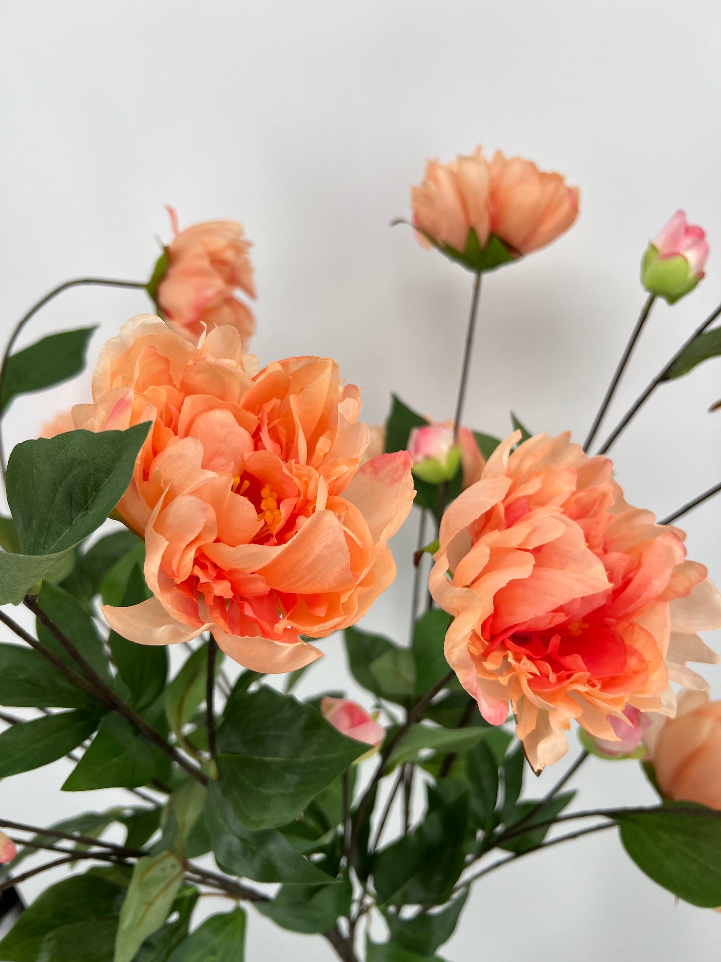 Paeony spray Sapporo peach, 126cm