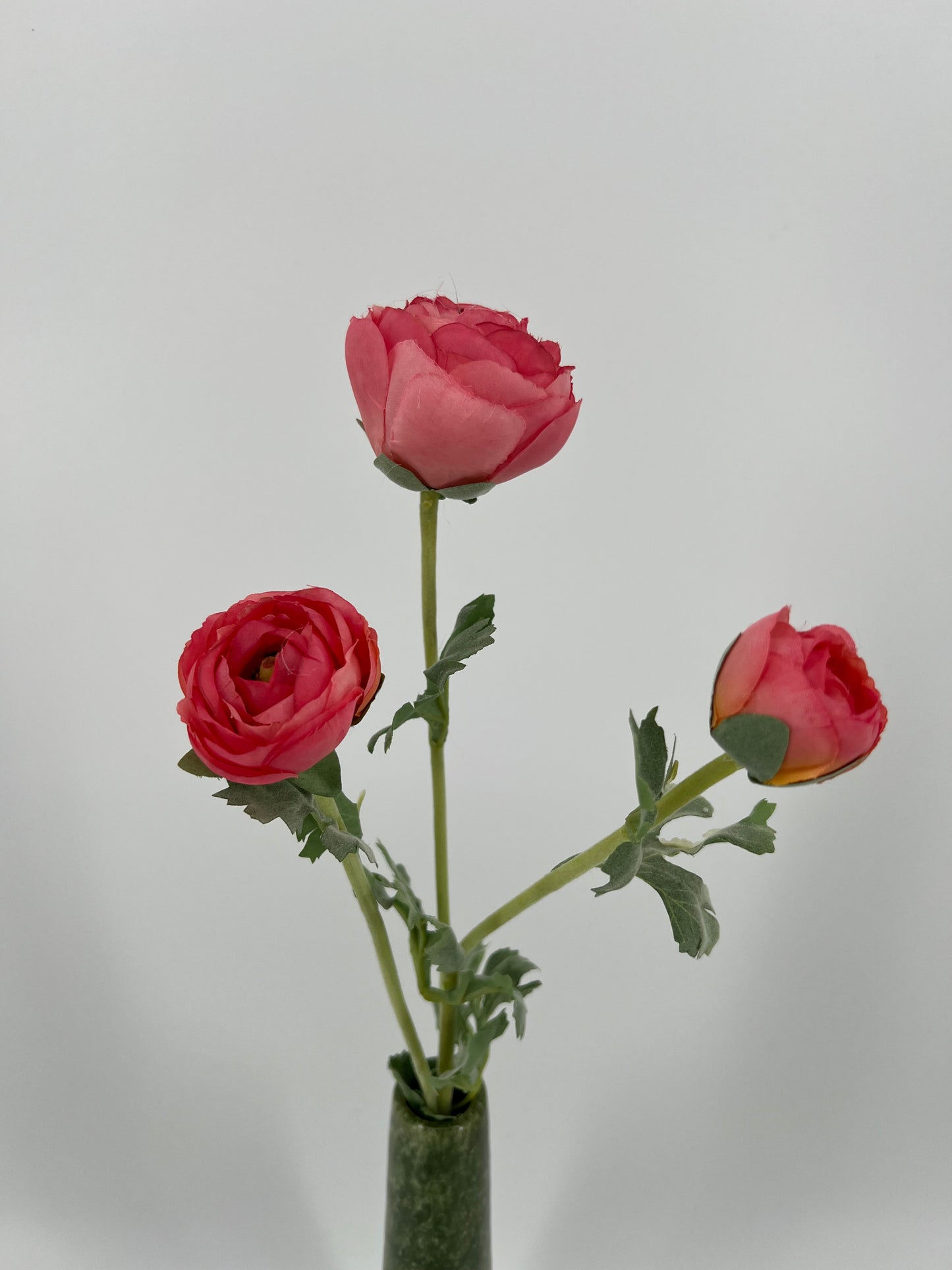 Flower Ranunculus pink, 73cm