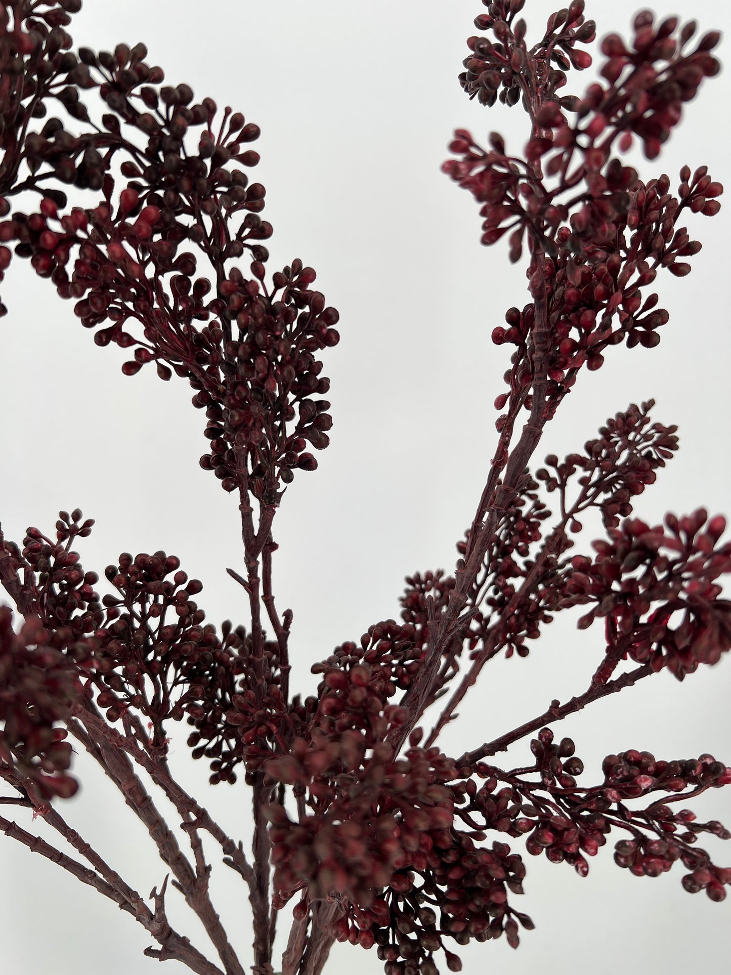 Calliparca kunsttak bordeauxrood, 67cm