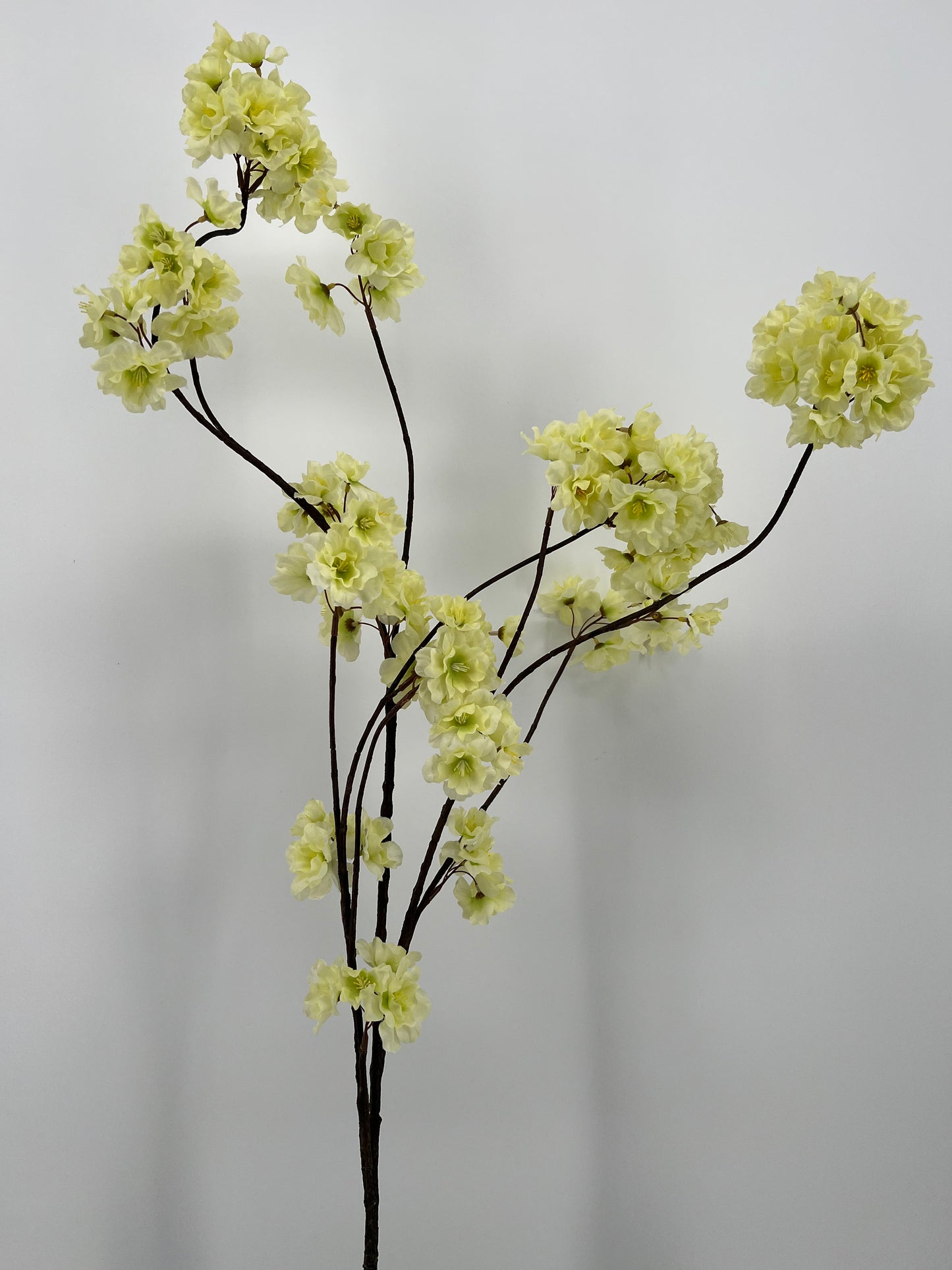 Prunus malaga spray lt green, 126cm