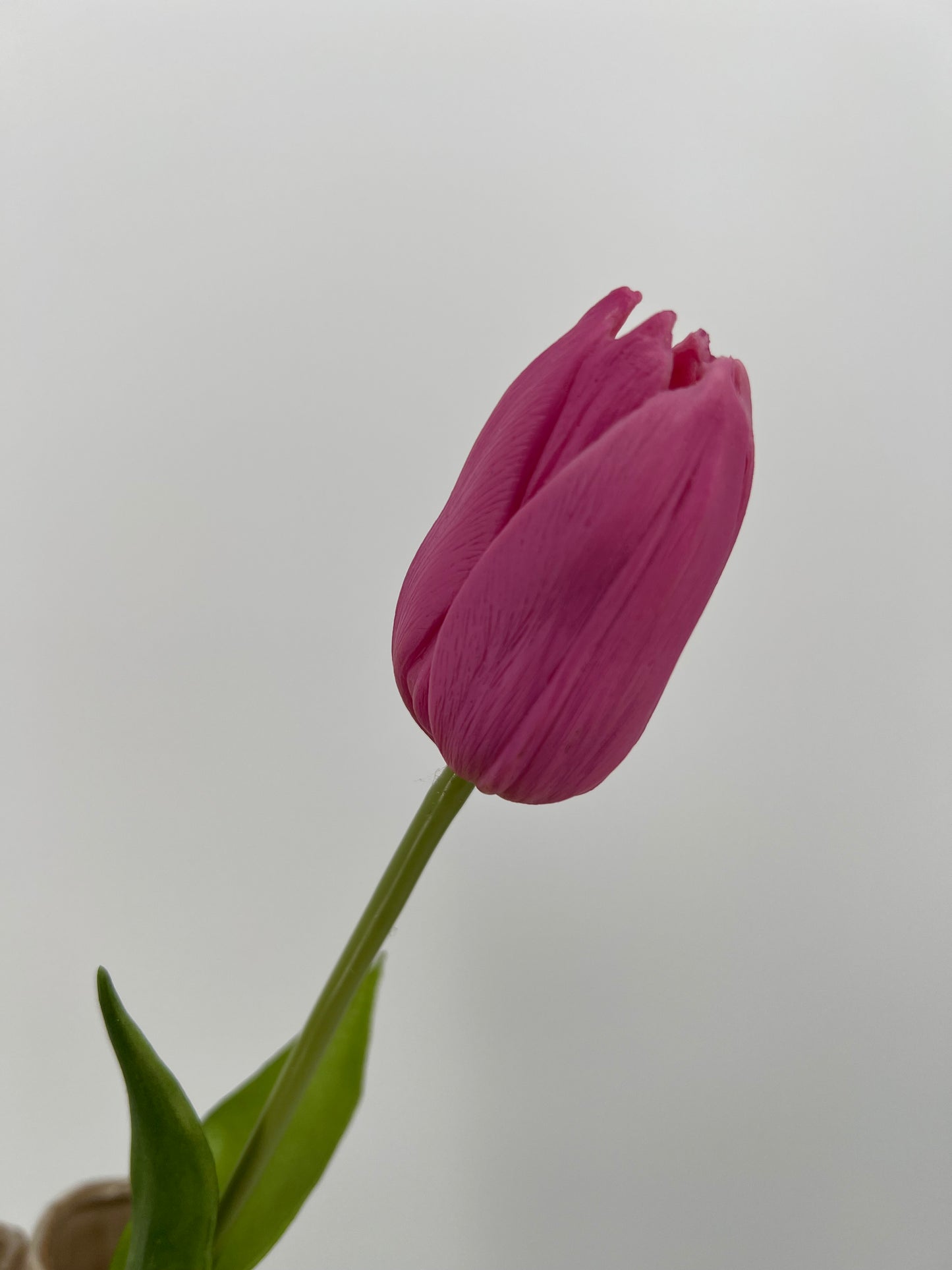 Mooie enkele kunst tulip met groen in mauve en oranje, 45cm