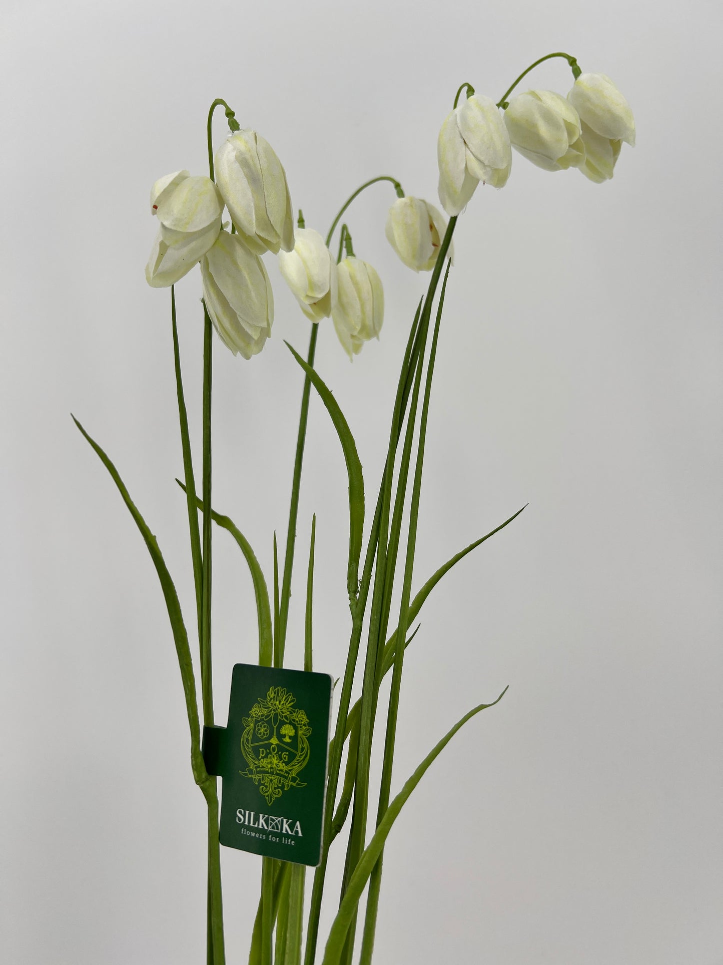 Silk-ka Fritillaria mooie uitvoering in creme/groen, 71cm lang