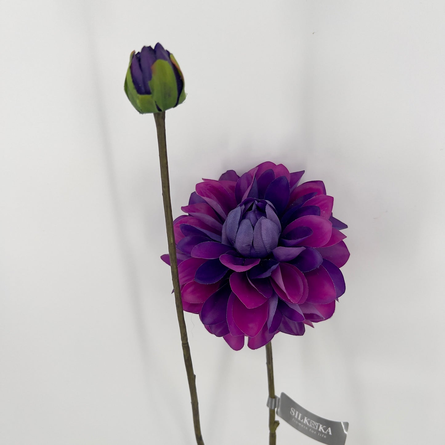 Silk-ka kunst Dahlia's in 6 prachtige intense kleuren, 86cm