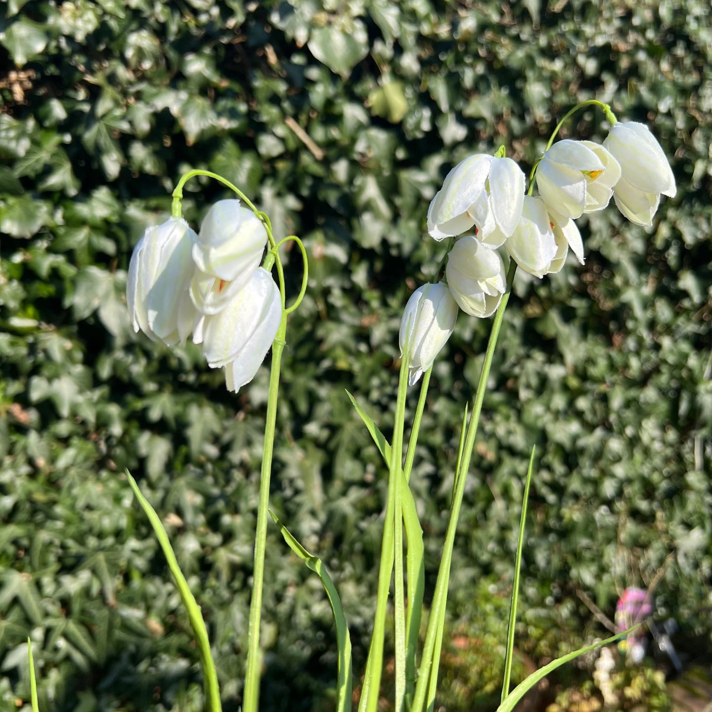 Silk-ka Fritillaria mooie uitvoering in creme/groen, 71cm lang