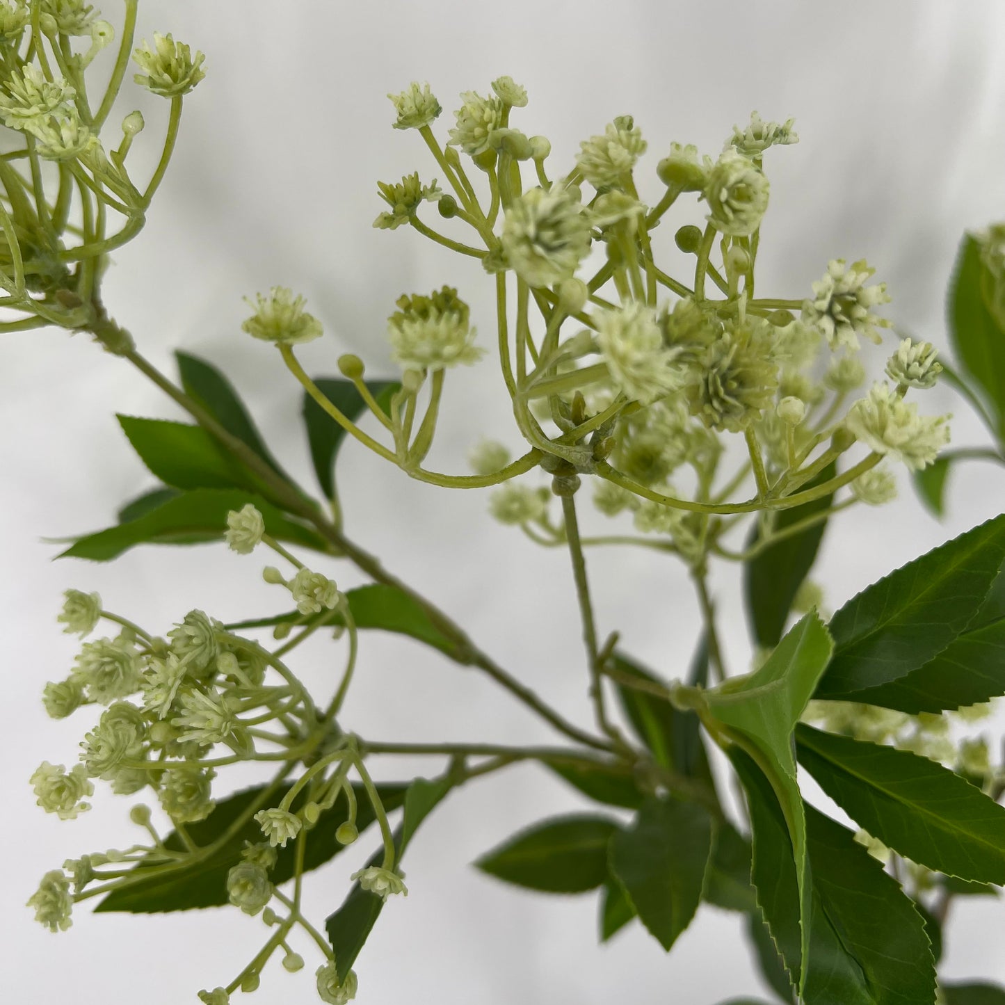 Silk-ka prachtige grote kunst bessentak , 109cm