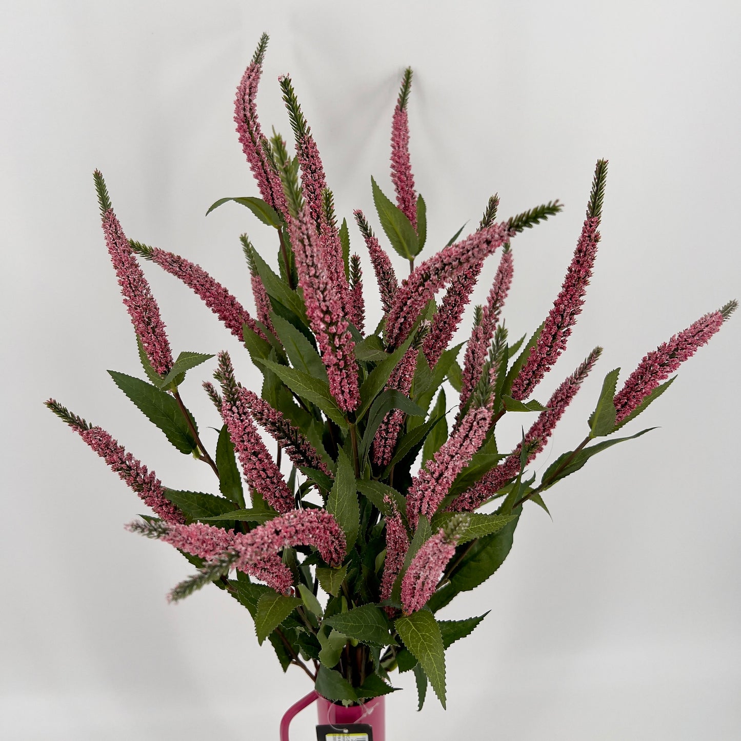 Ereprijs ook wel de Veronica donker roze, 52cm