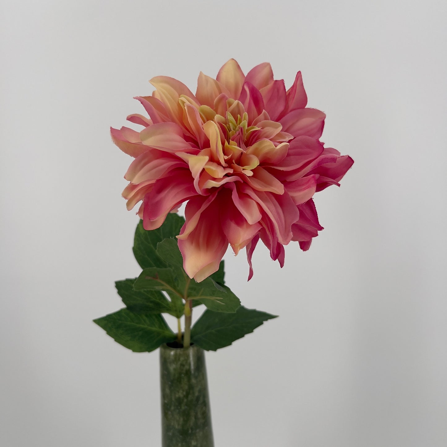 Dahlia tak oranje of perzik/roze, 64cm