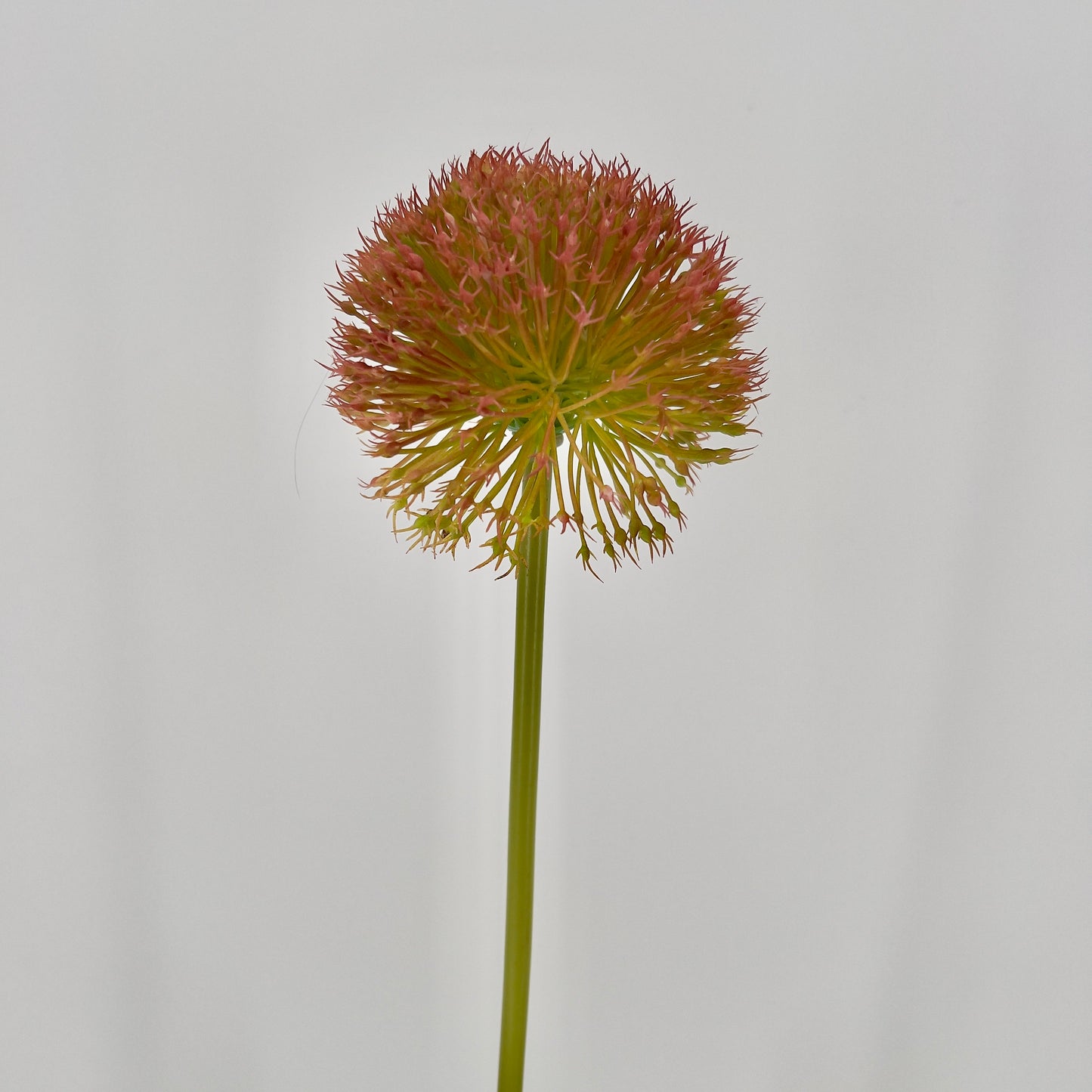 Kunst Allium spring perfect grande green/ red/purple blue, 80cm