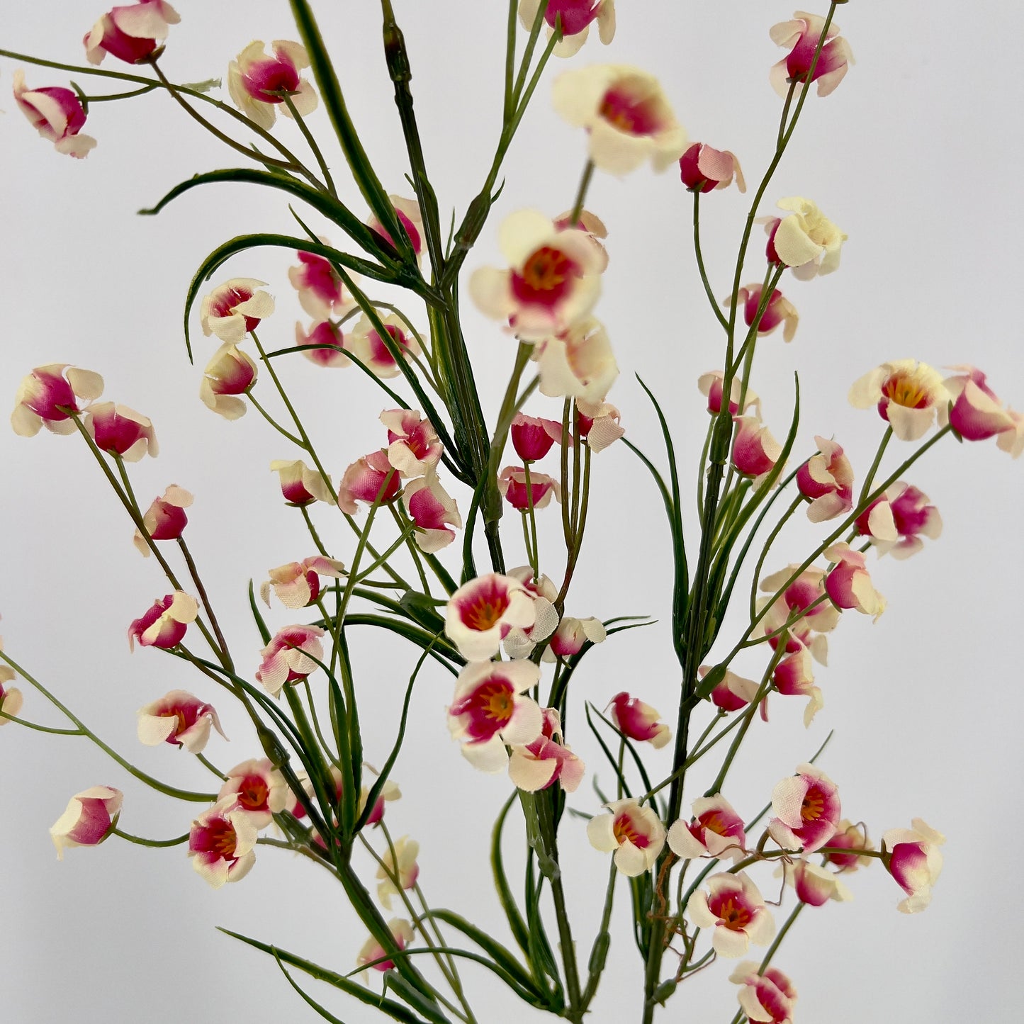 Silk-ka kunst tak wit/roze Bloesem, 75cm