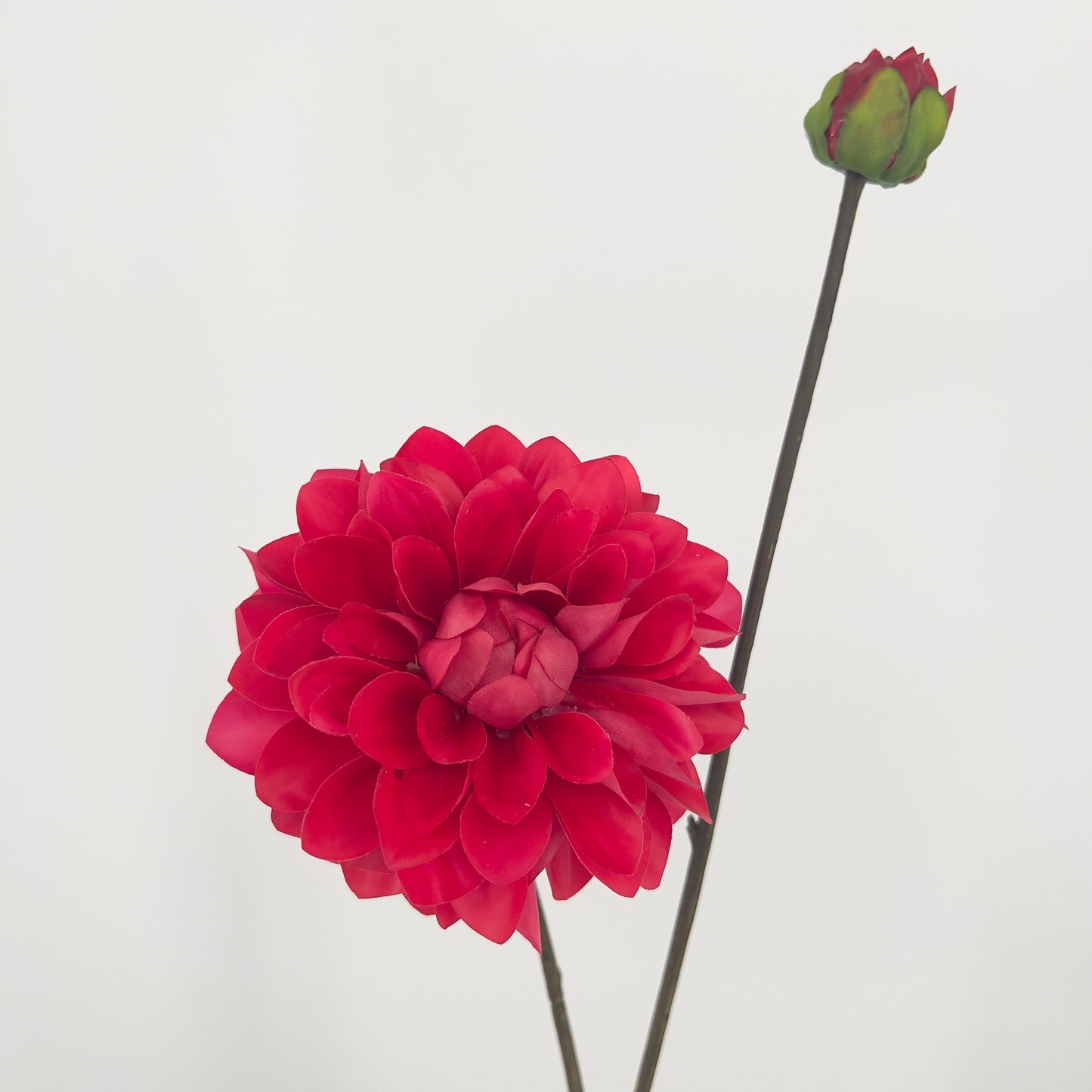 Silk-ka kunst Dahlia's in 6 prachtige intense kleuren, 86cm
