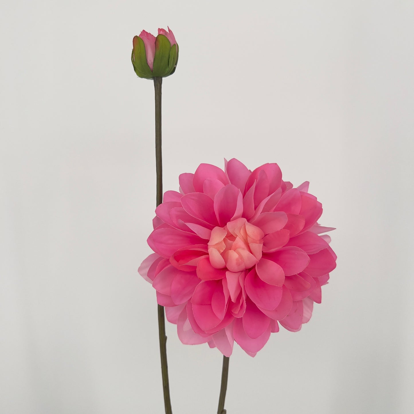 Silk-ka kunst Dahlia's in 6 prachtige intense kleuren, 86cm