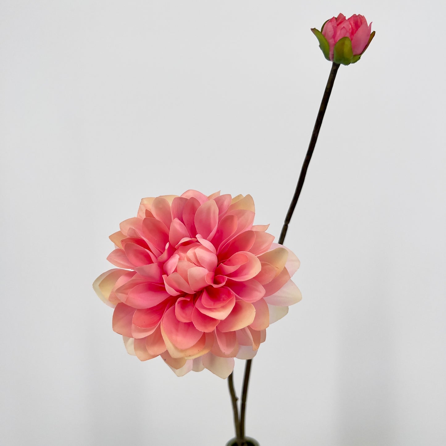 Silk-ka kunst Dahlia's in 6 prachtige intense kleuren, 86cm